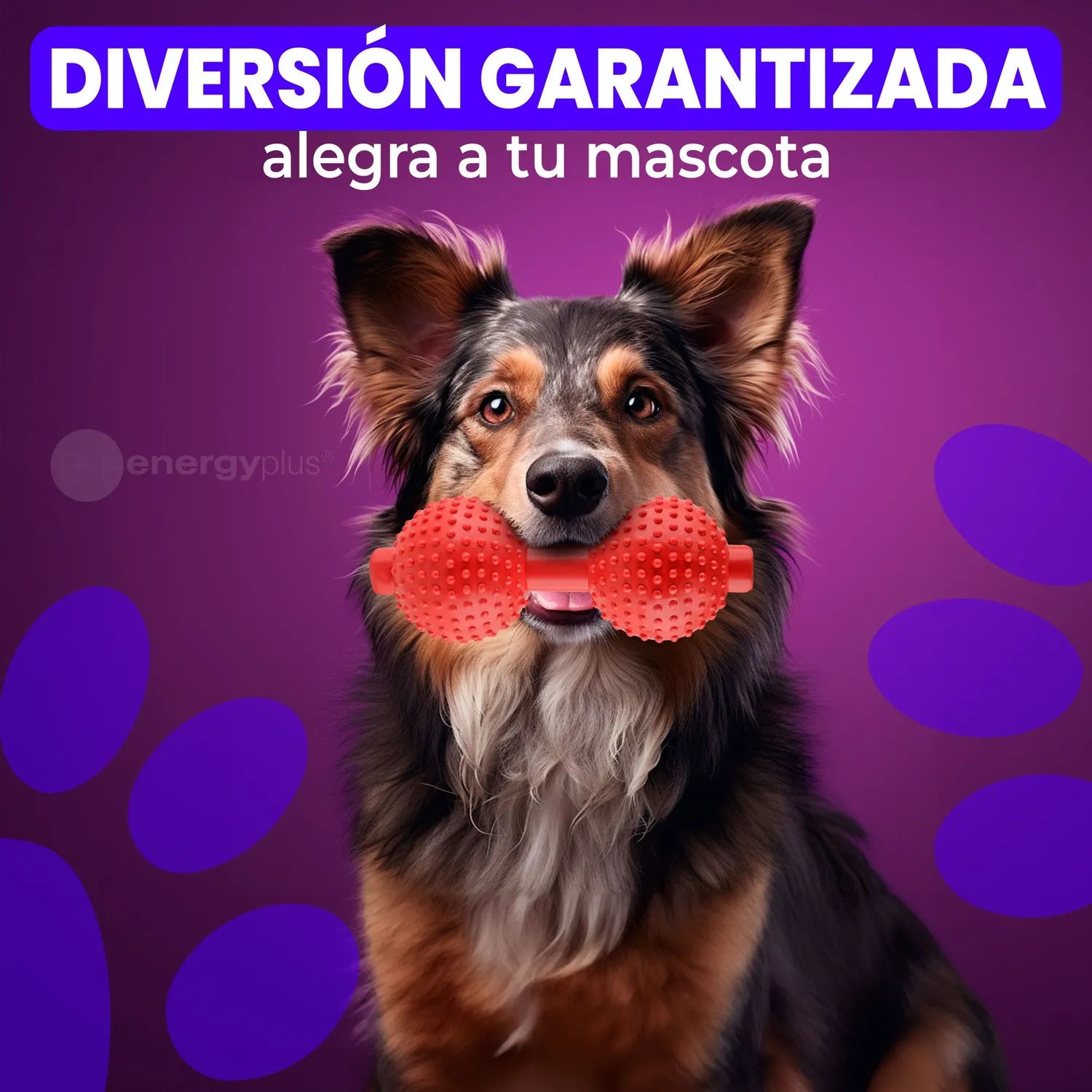Juguete Para Perro Mordedor Pesa: Razas Medianas Grandes Rojo 4