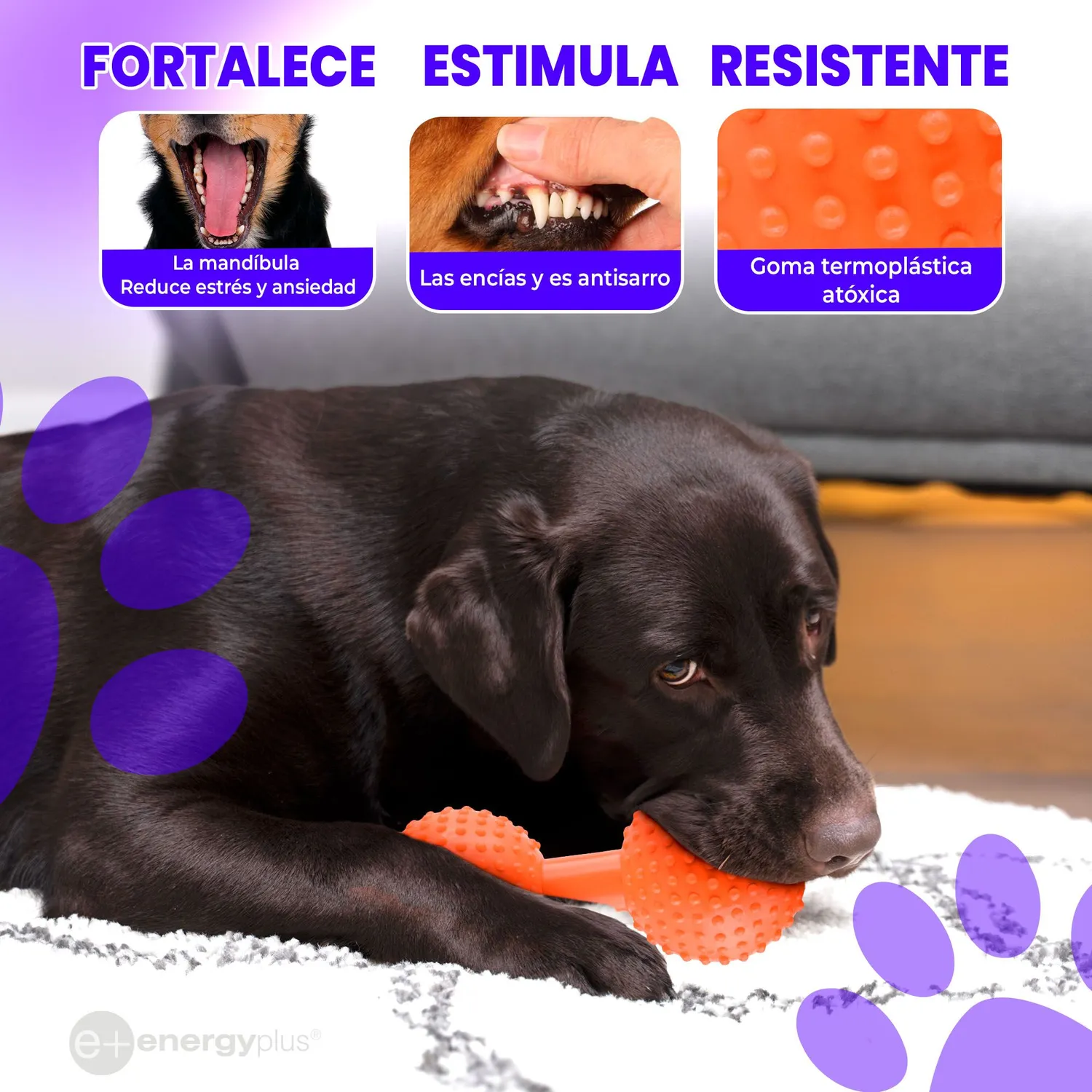 Juguete Para Perro Mordedor Pesa: Razas Medianas Grandes Naranja 3