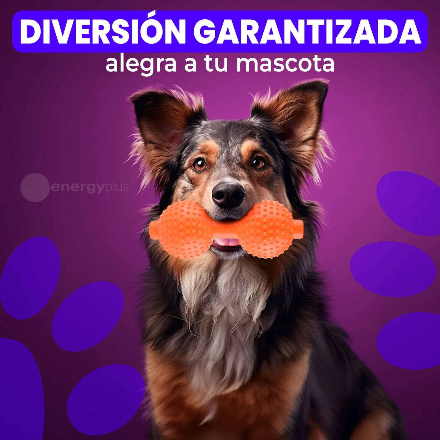 Juguete Para Perro Mordedor Pesa: Razas Medianas Grandes Naranja 4