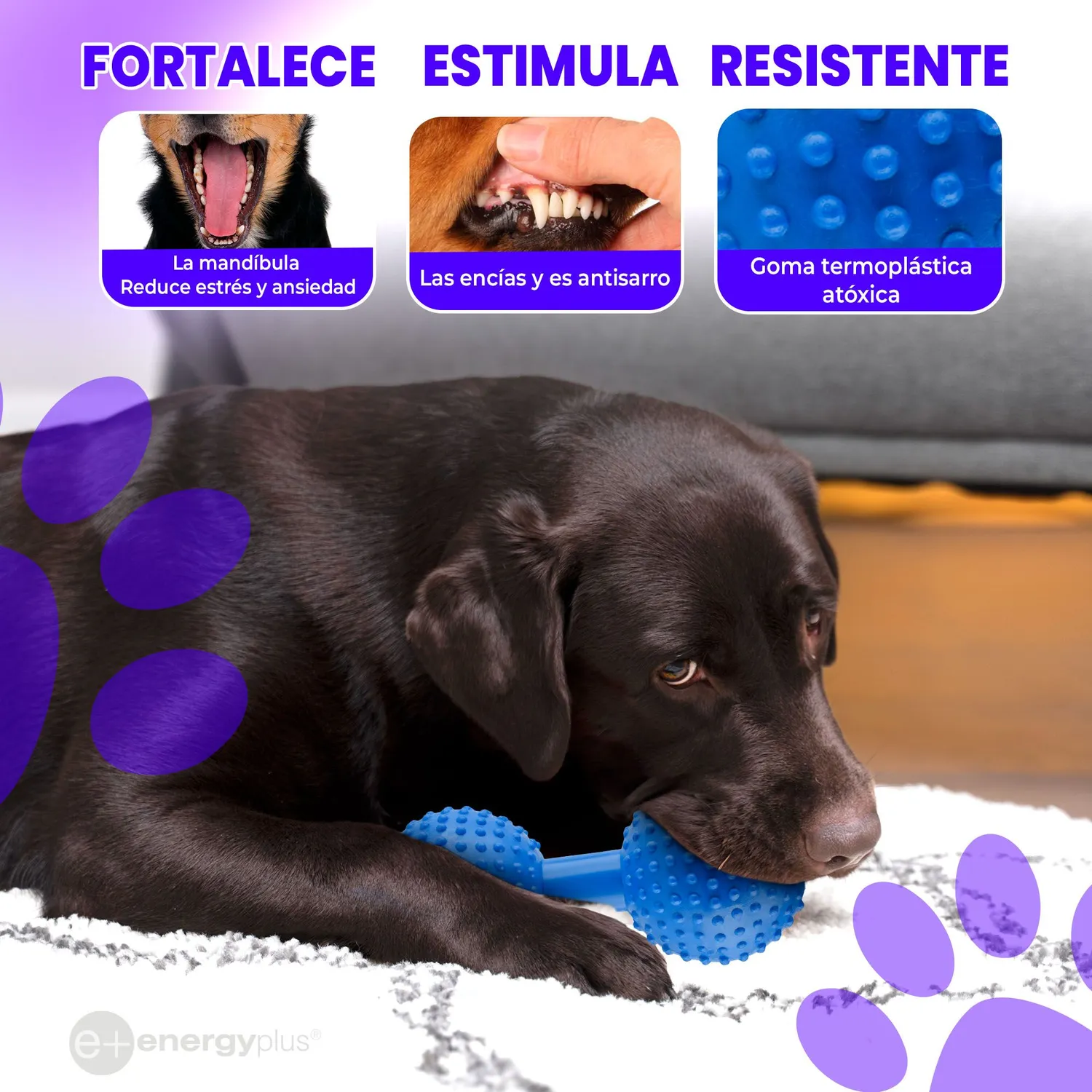 Juguete Para Perro Mordedor Pesa: Razas Medianas Grandes Azul 3