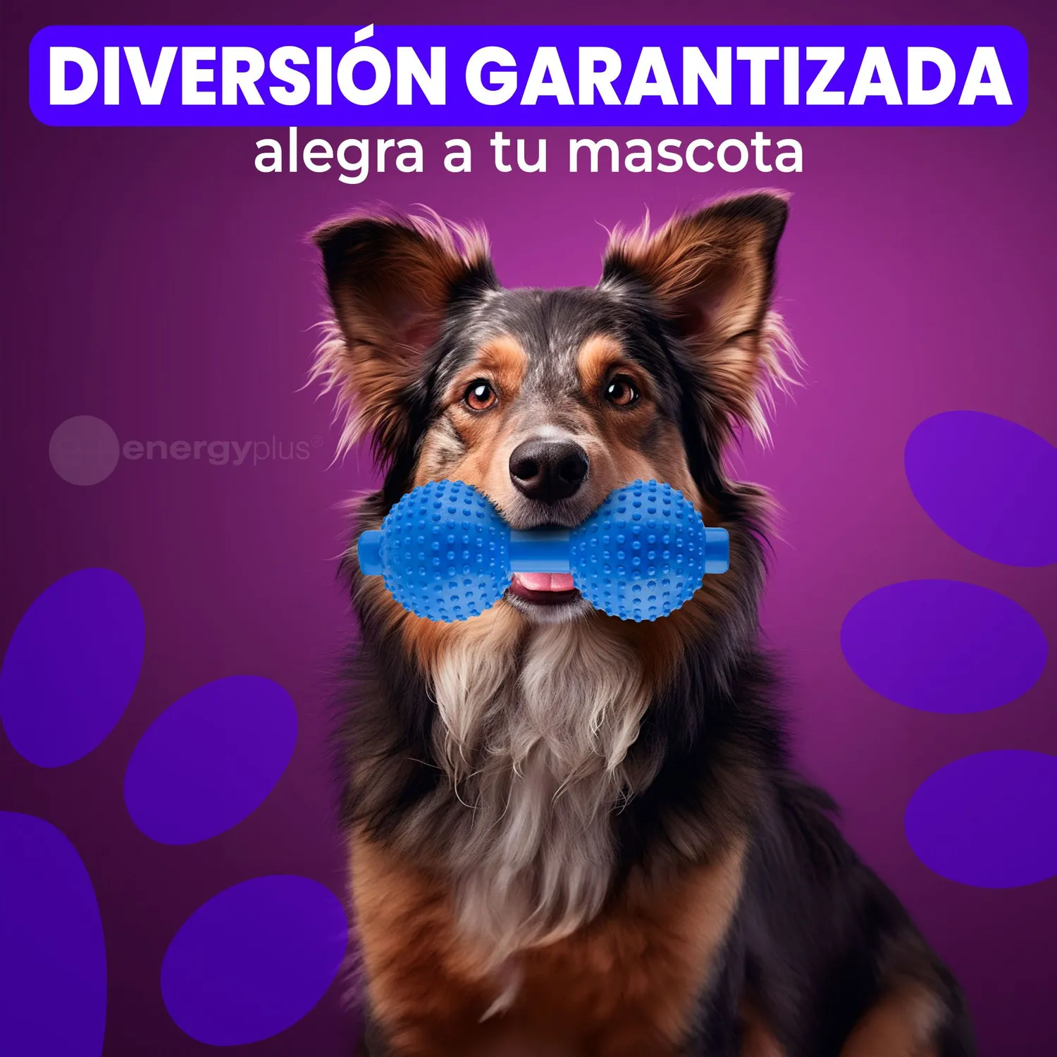 Juguete Para Perro Mordedor Pesa: Razas Medianas Grandes Azul 4