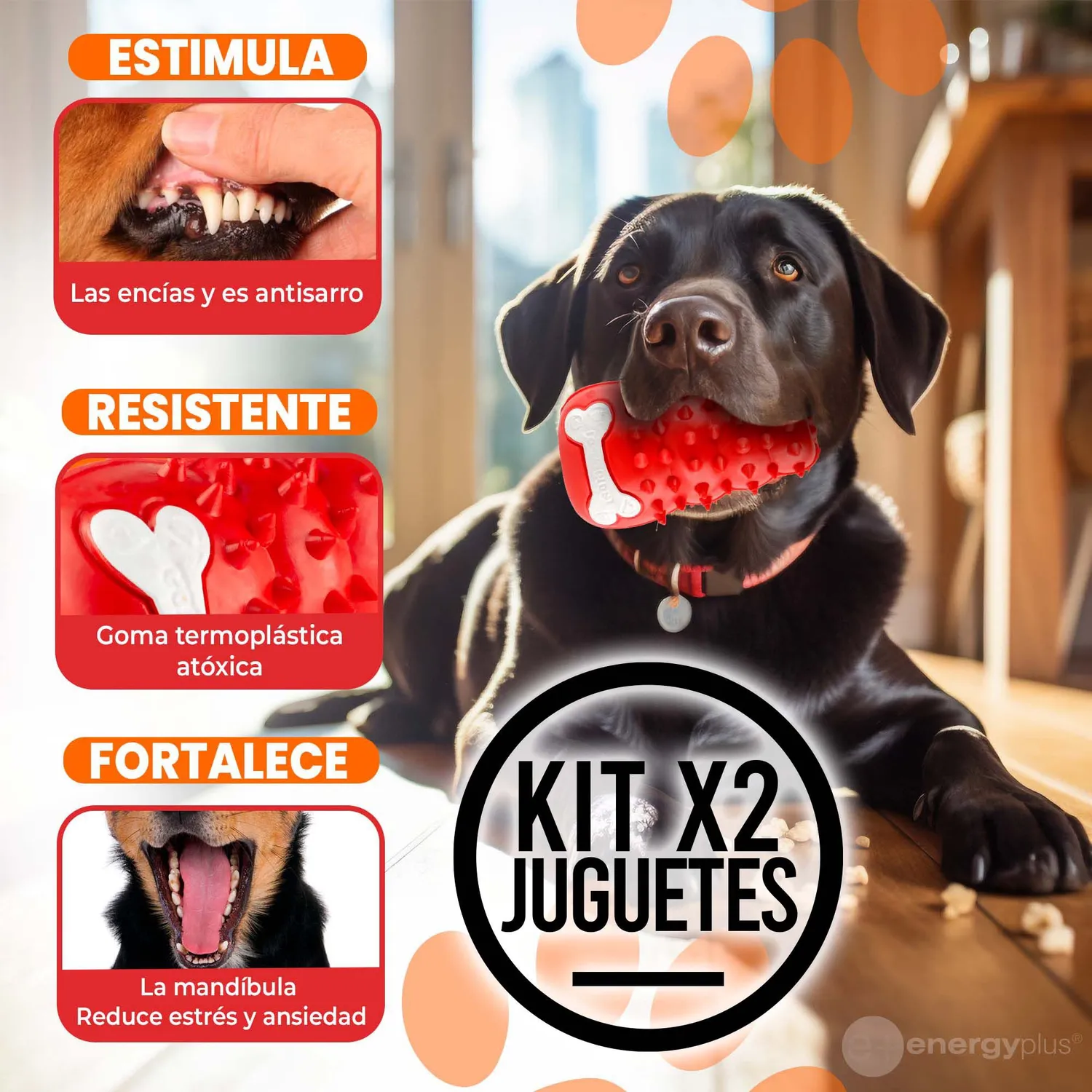 Juguete Y Dispensador Para Perro Masticable Azul Rojo Dos Unidades 3