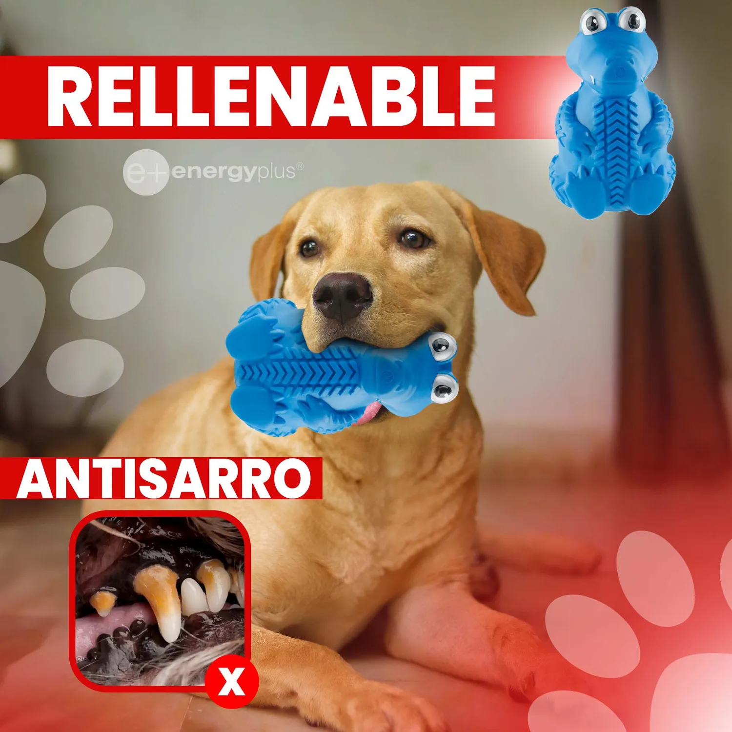 Juguete Para Perro Masticable Goma Para Azul