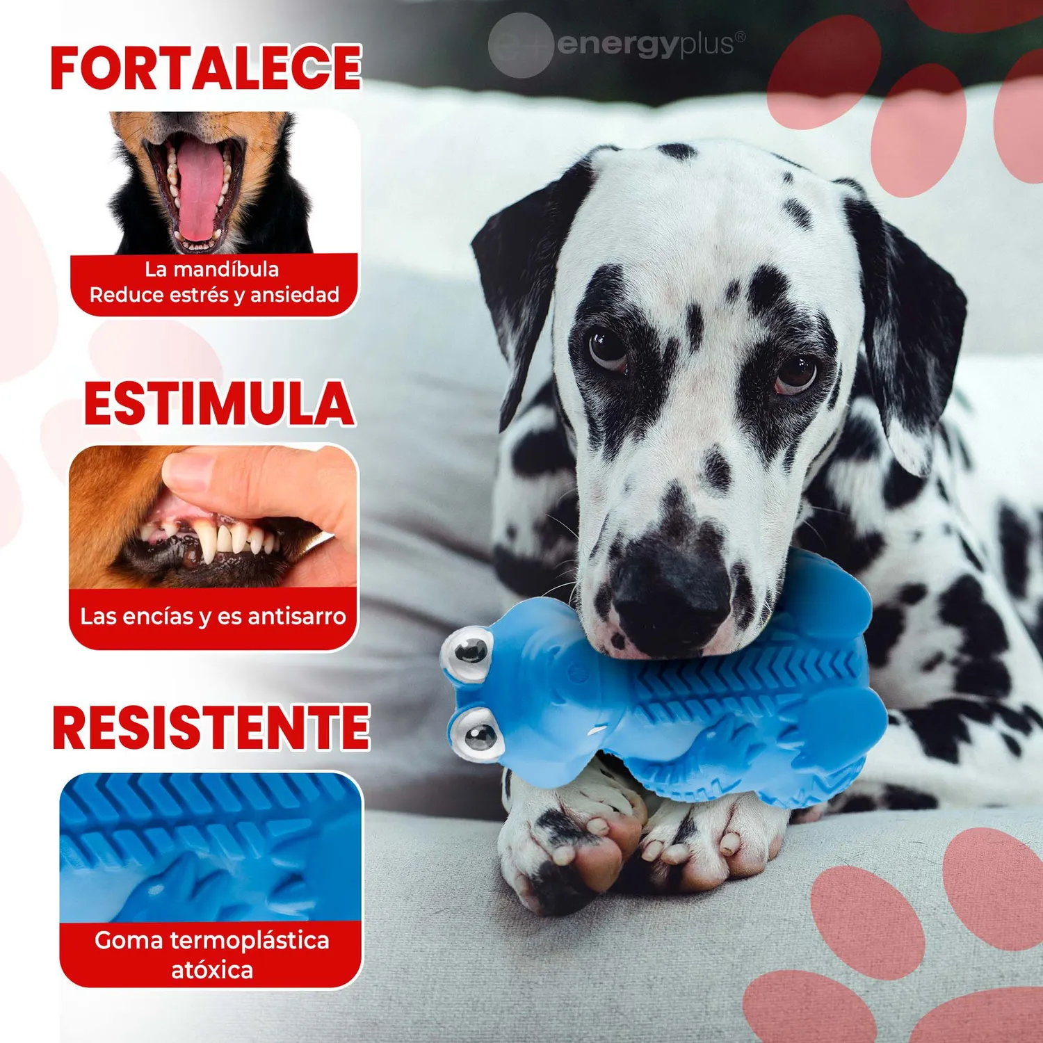 Juguete Para Perro Masticable Goma Para Azul 3