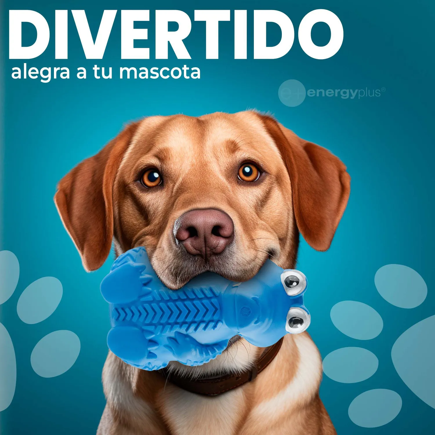 Juguete Para Perro Masticable Goma Para Azul 4