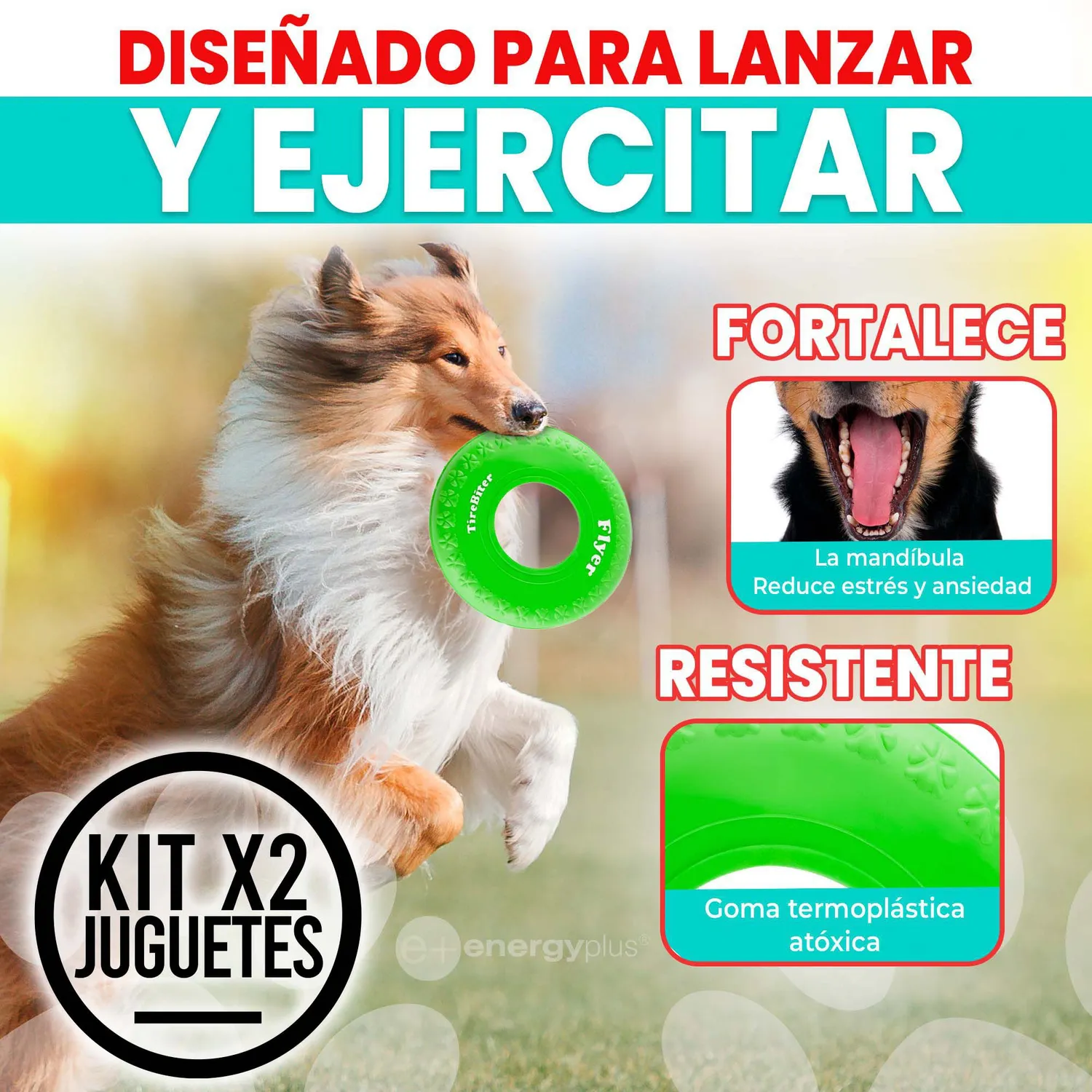 2 Frisbee Para Perro Goma Segura Naranja Verde 3