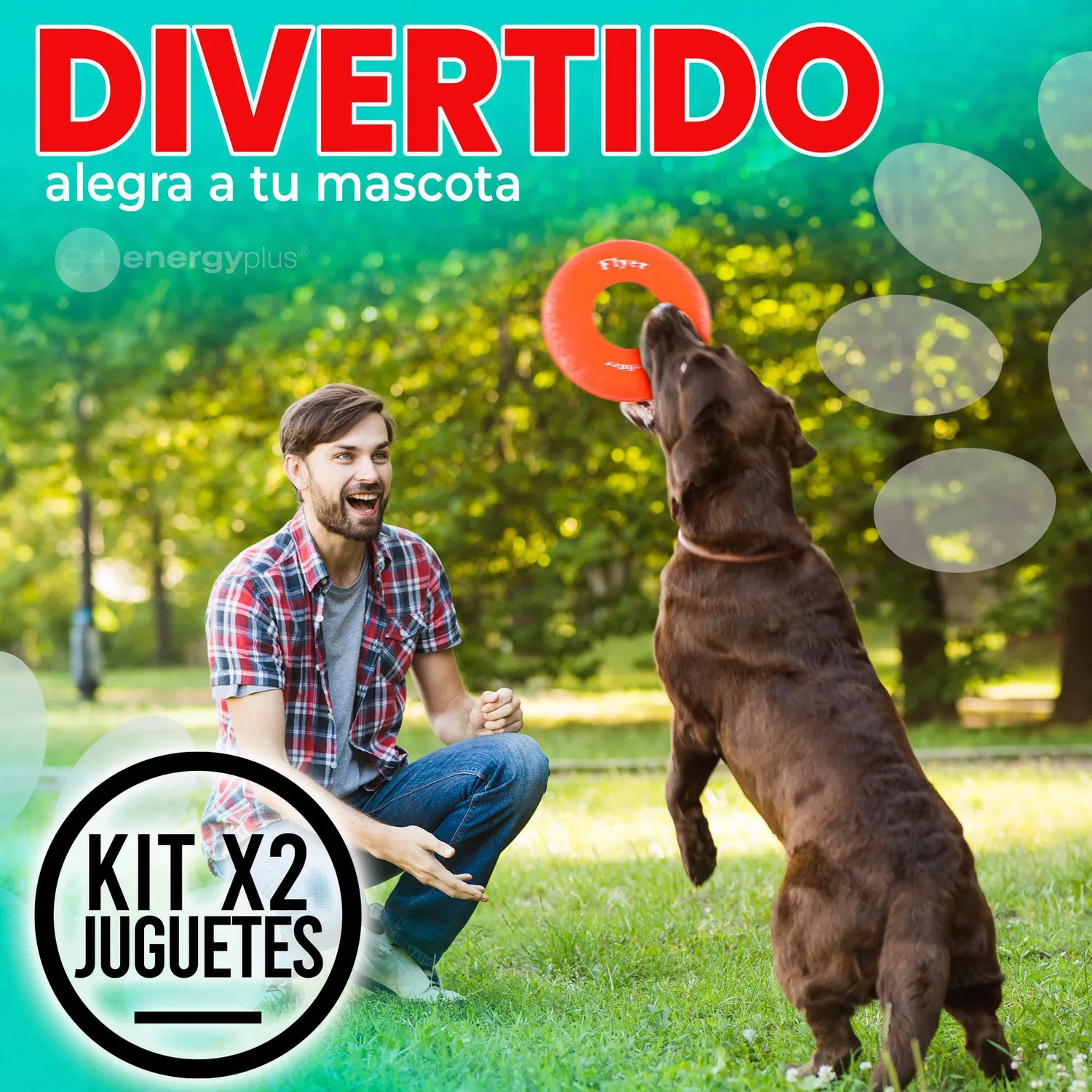 2 Frisbee Para Perro Goma Segura Naranja Verde 4