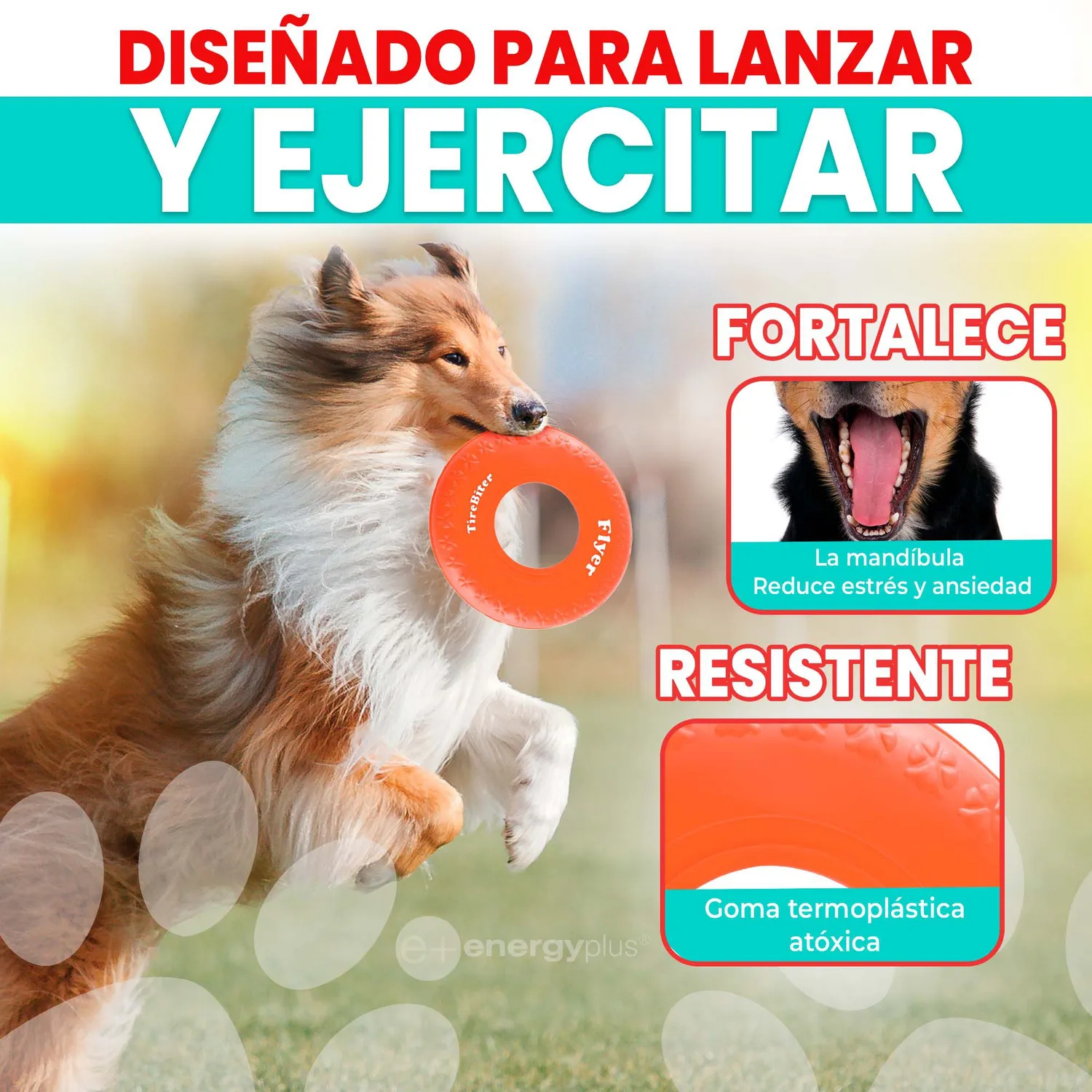Frisbee Para Perro De Goma Segura Naranja 3
