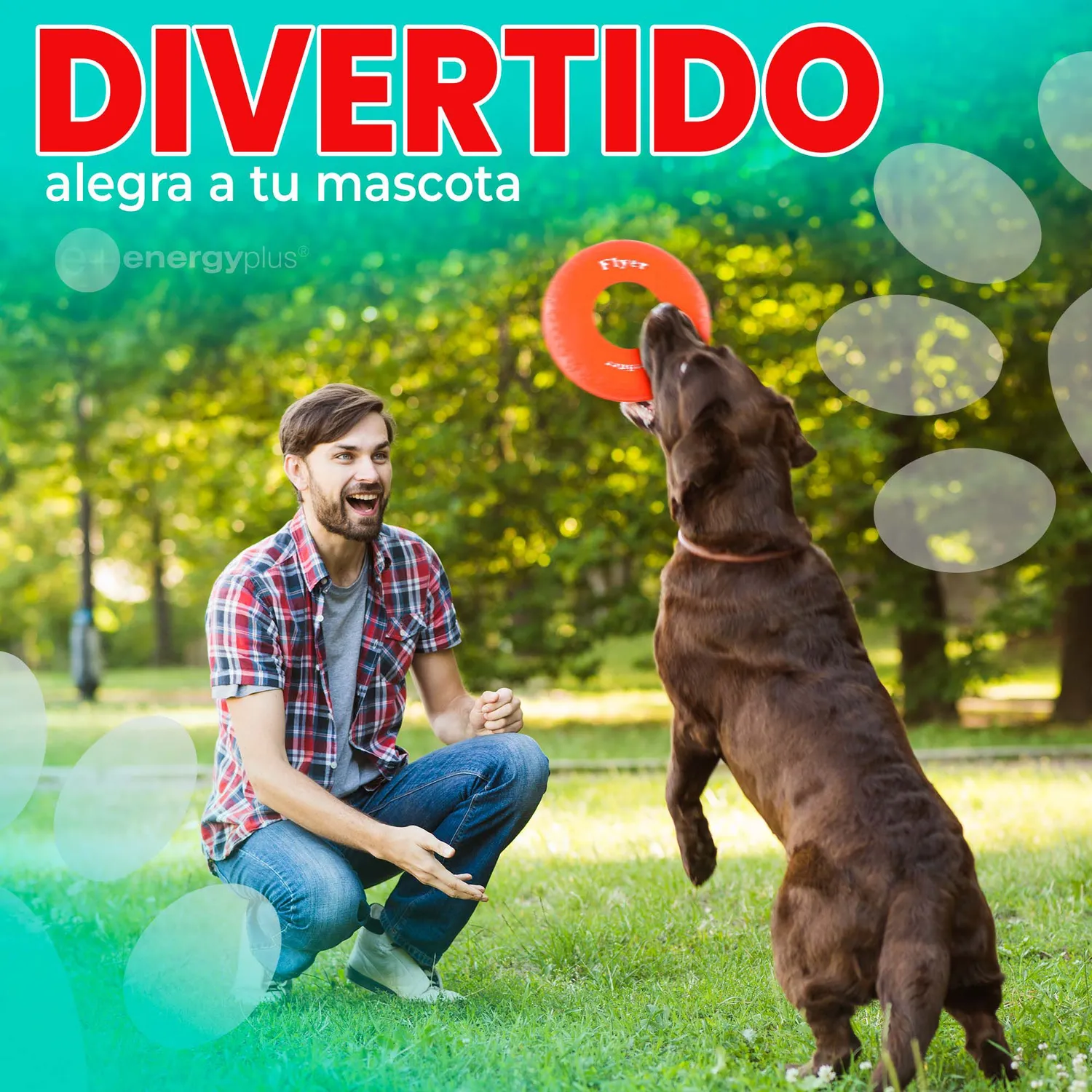 Frisbee Para Perro De Goma Segura Naranja 4