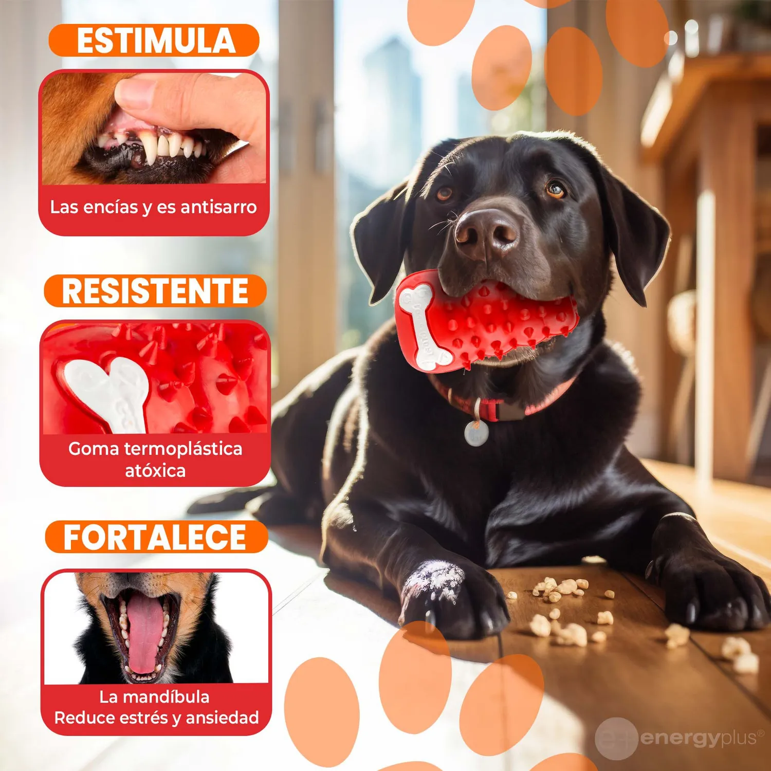 Juguete Para Perro Dispensador Rojo 3