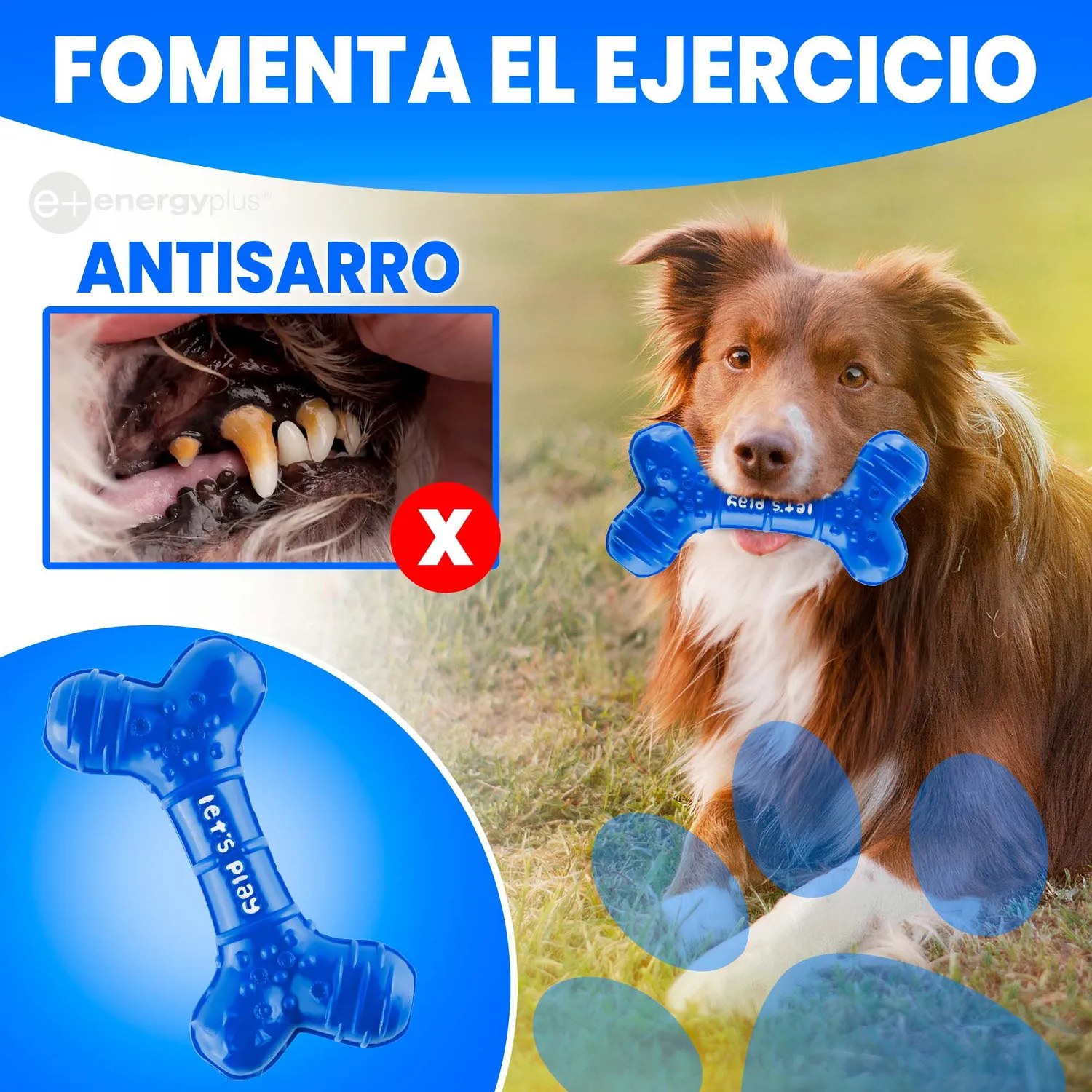 Juguete Para Perro Mordedor Dental Hueso de Goma  Med Azul