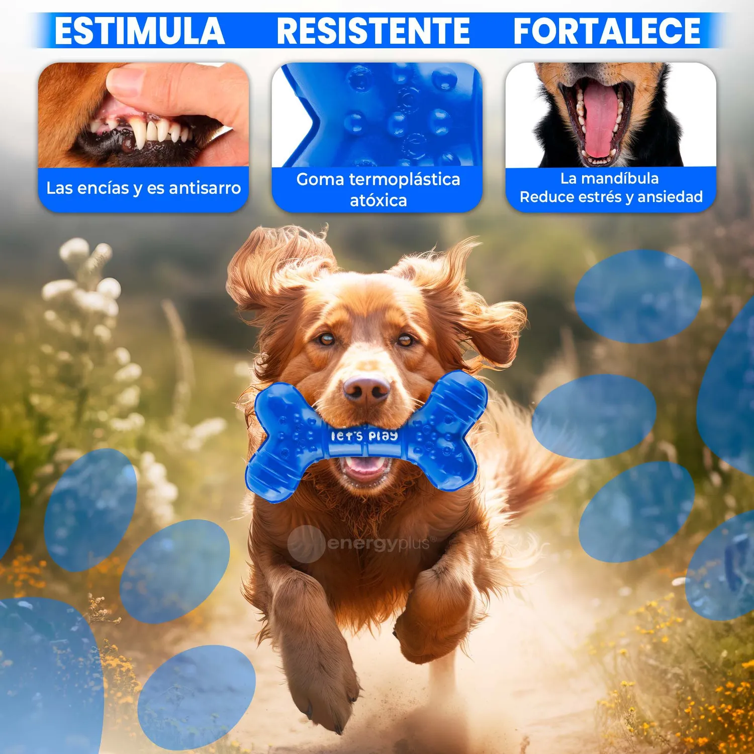 Juguete Para Perro Mordedor Dental Hueso de Goma  Med Azul 3