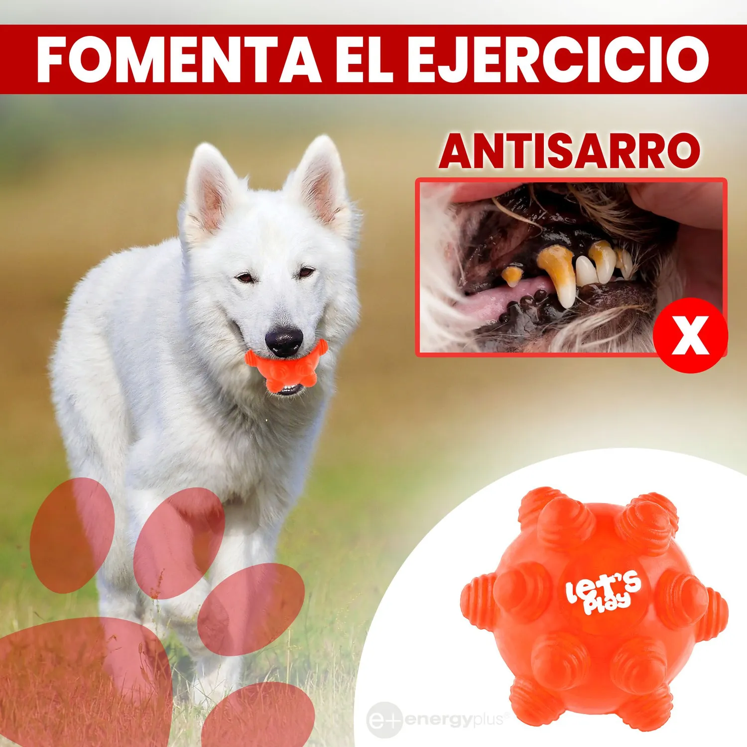 Juguete Para Perro Pelota Maciza Con Taches Naranja