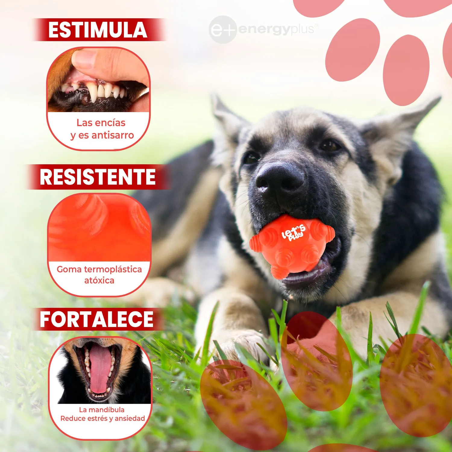 Juguete Para Perro Pelota Maciza Con Taches Naranja 3