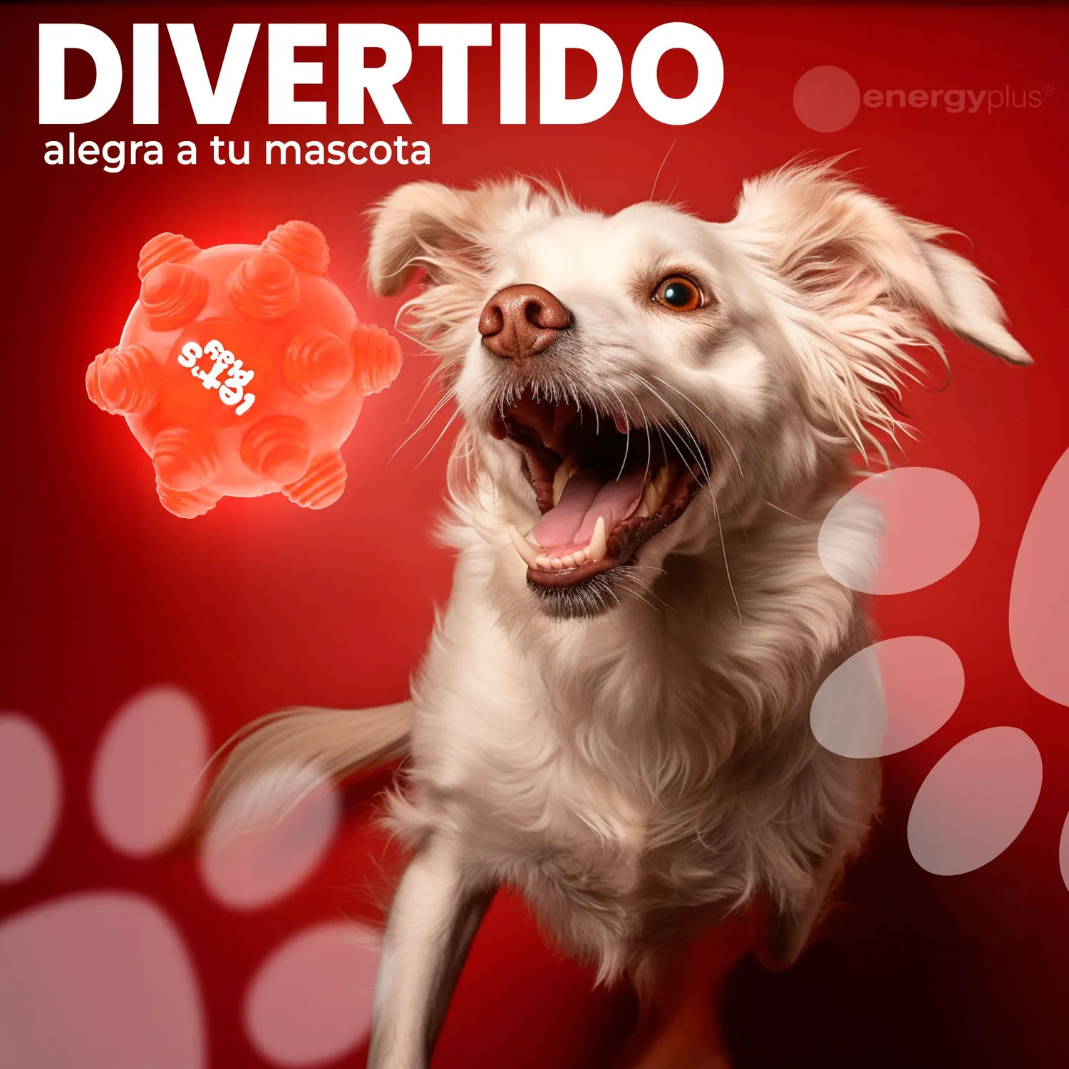 Juguete Para Perro Pelota Maciza Con Taches Naranja 4