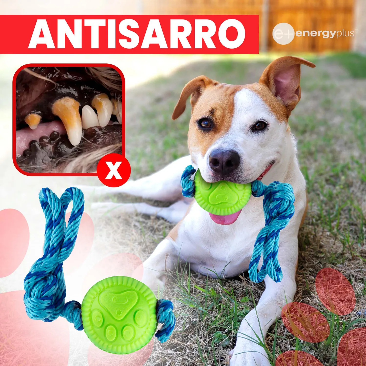 Juguete Para Perro Pelota Y Cuerda Med Verde