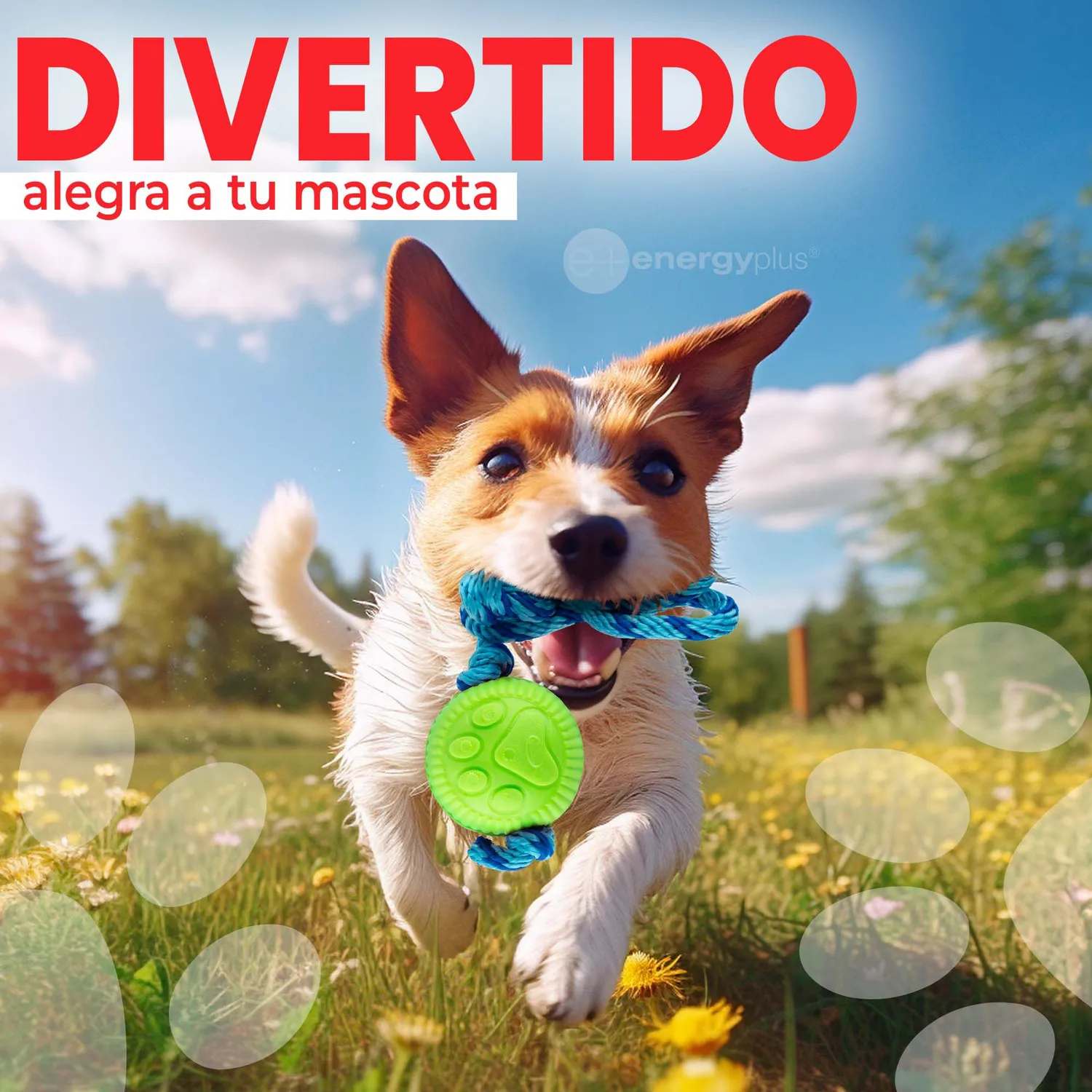 Juguete Para Perro Pelota Y Cuerda Med Verde 4