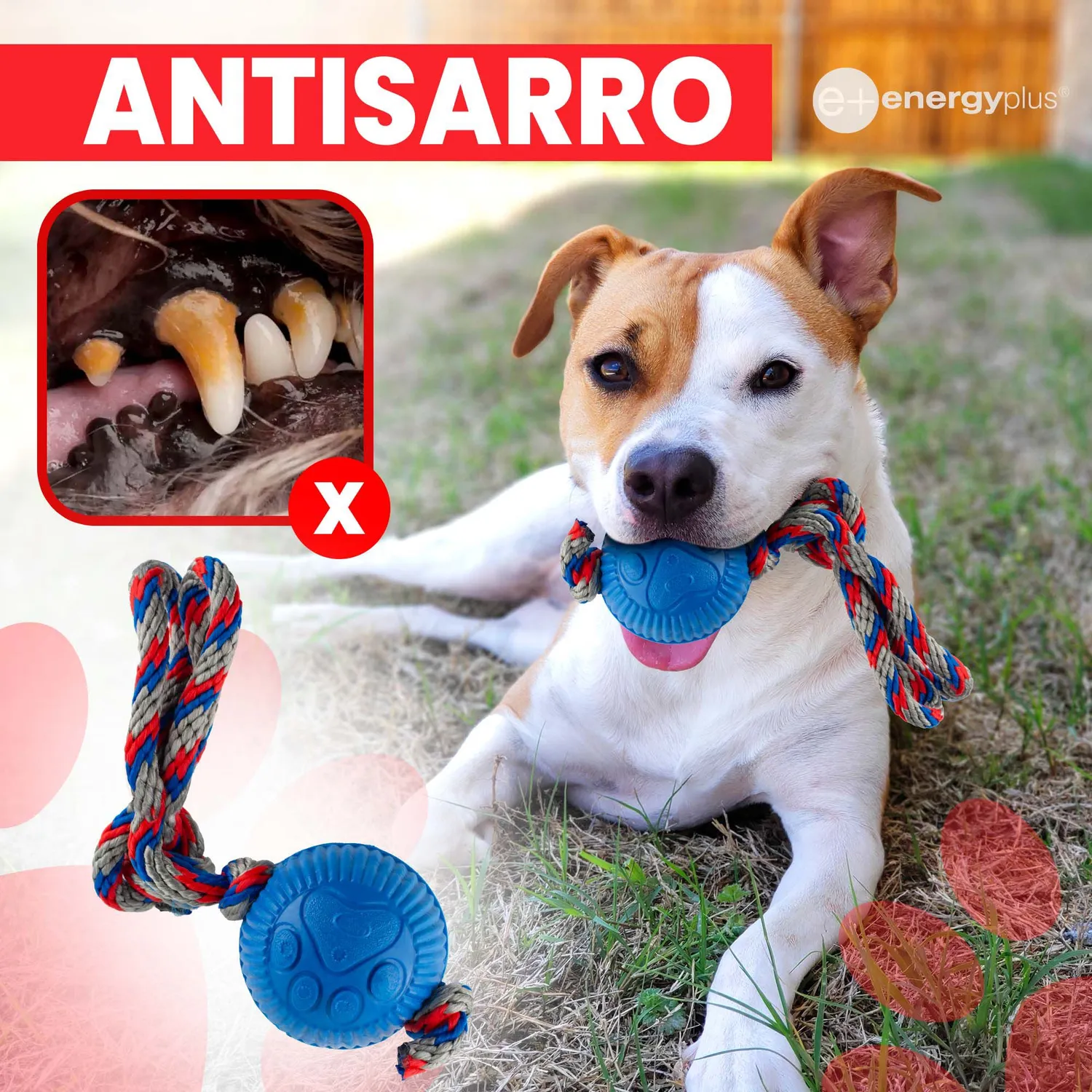 Juguete Para Perro Pelota Y Cuerda Med Azul