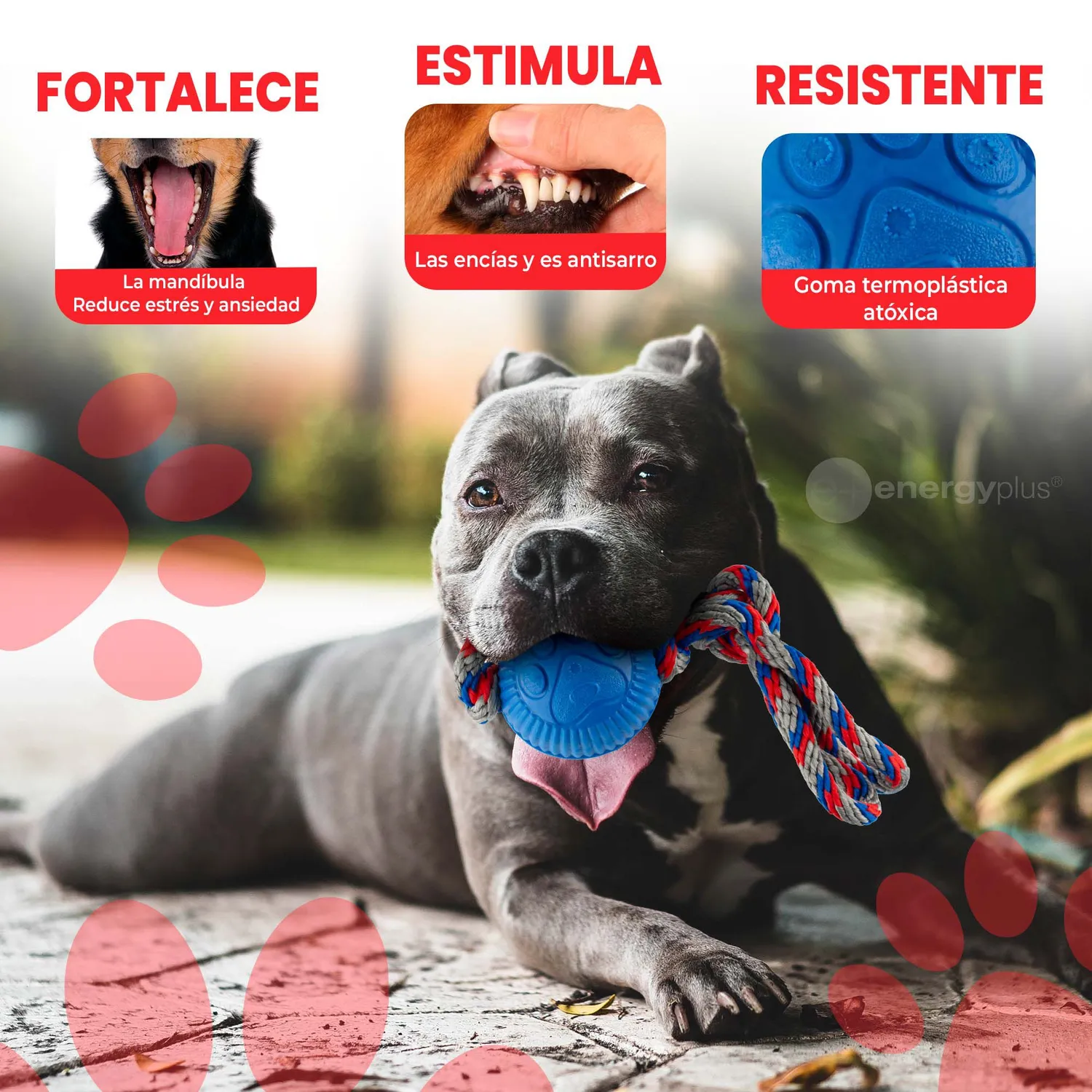 Juguete Para Perro Pelota Y Cuerda Med Azul 3