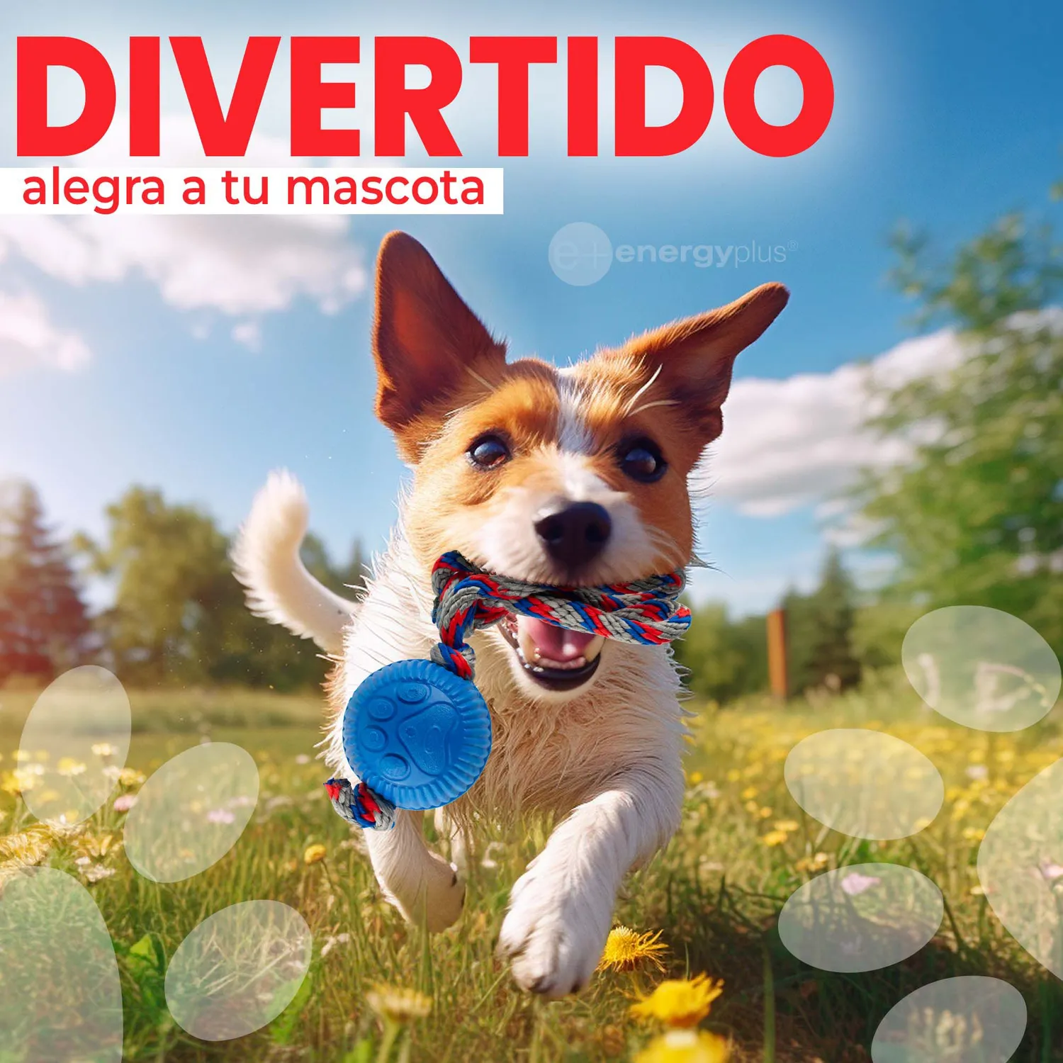 Juguete Para Perro Pelota Y Cuerda Med Azul 4