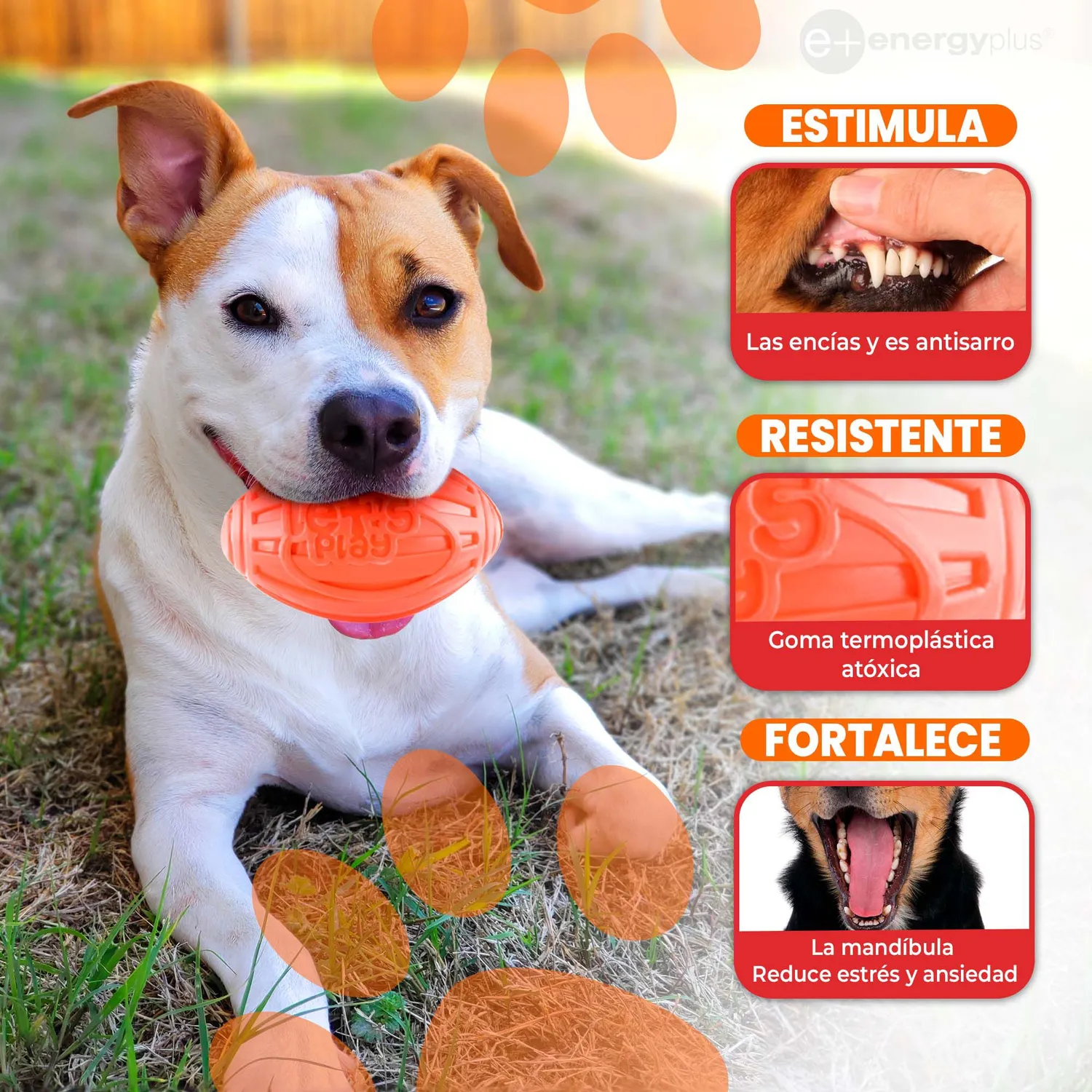 Juguete Para Perro Balón Ovalado Y Chillón Naranja 3
