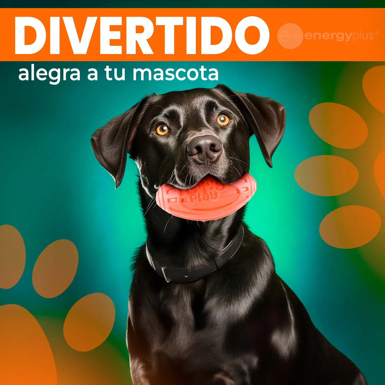 Juguete Para Perro Balón Ovalado Y Chillón Naranja 4