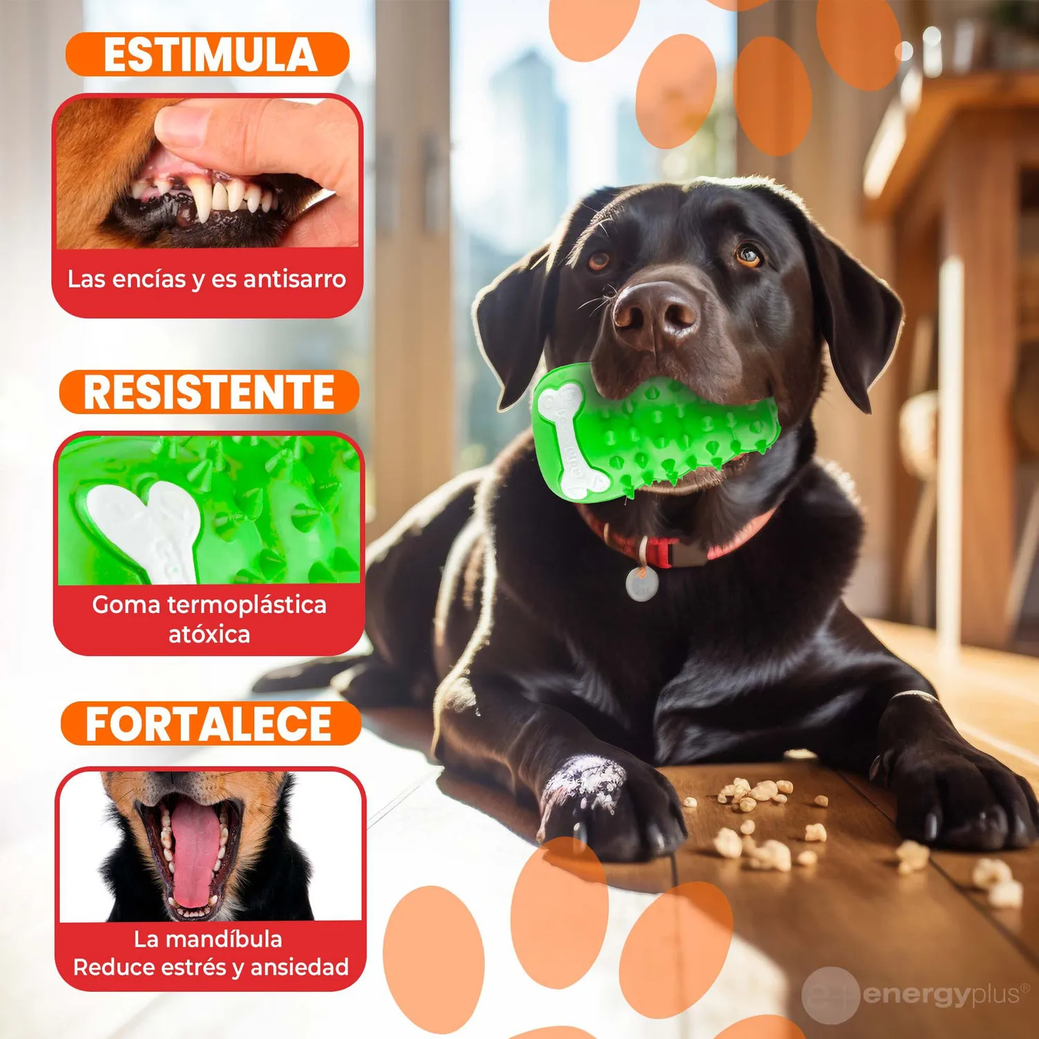 Juguete Para Perro Interactivo Masticable Verde 3