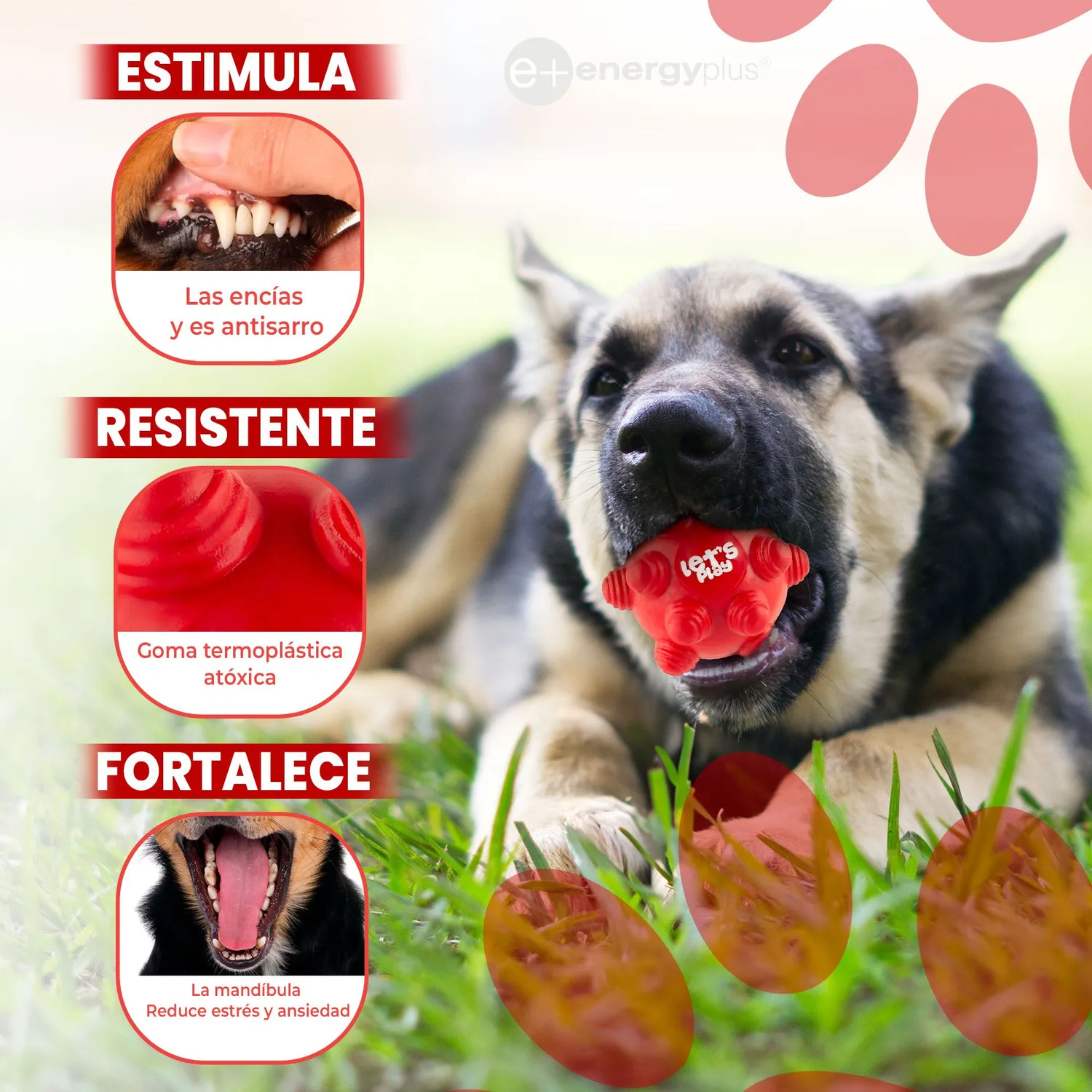 Juguete Para Perro Pelota Maciza Con Taches Rojo 3