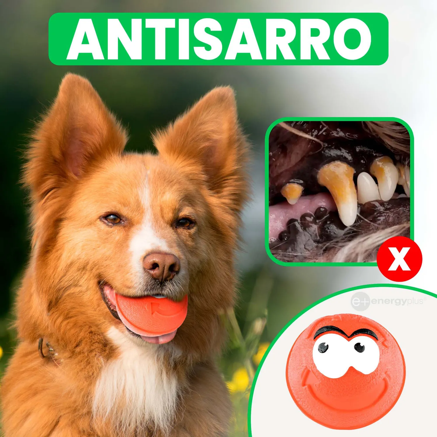 Pelota Para Perro Maciza Gran Rebote Naranja