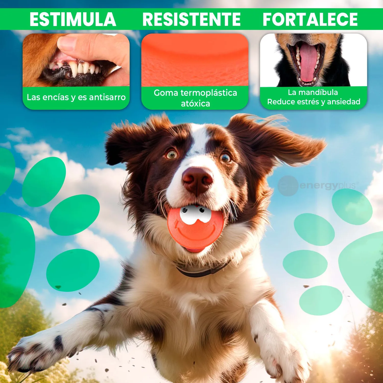 Pelota Para Perro Maciza Gran Rebote Naranja 3