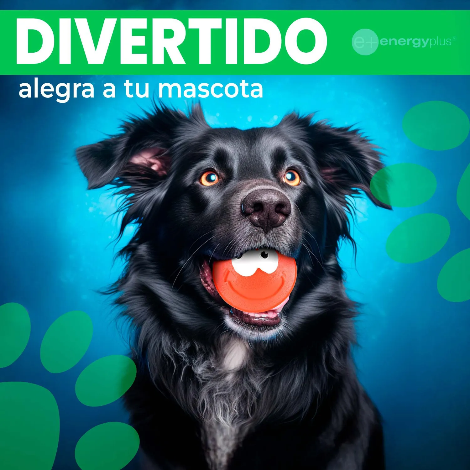 Pelota Para Perro Maciza Gran Rebote Naranja 4