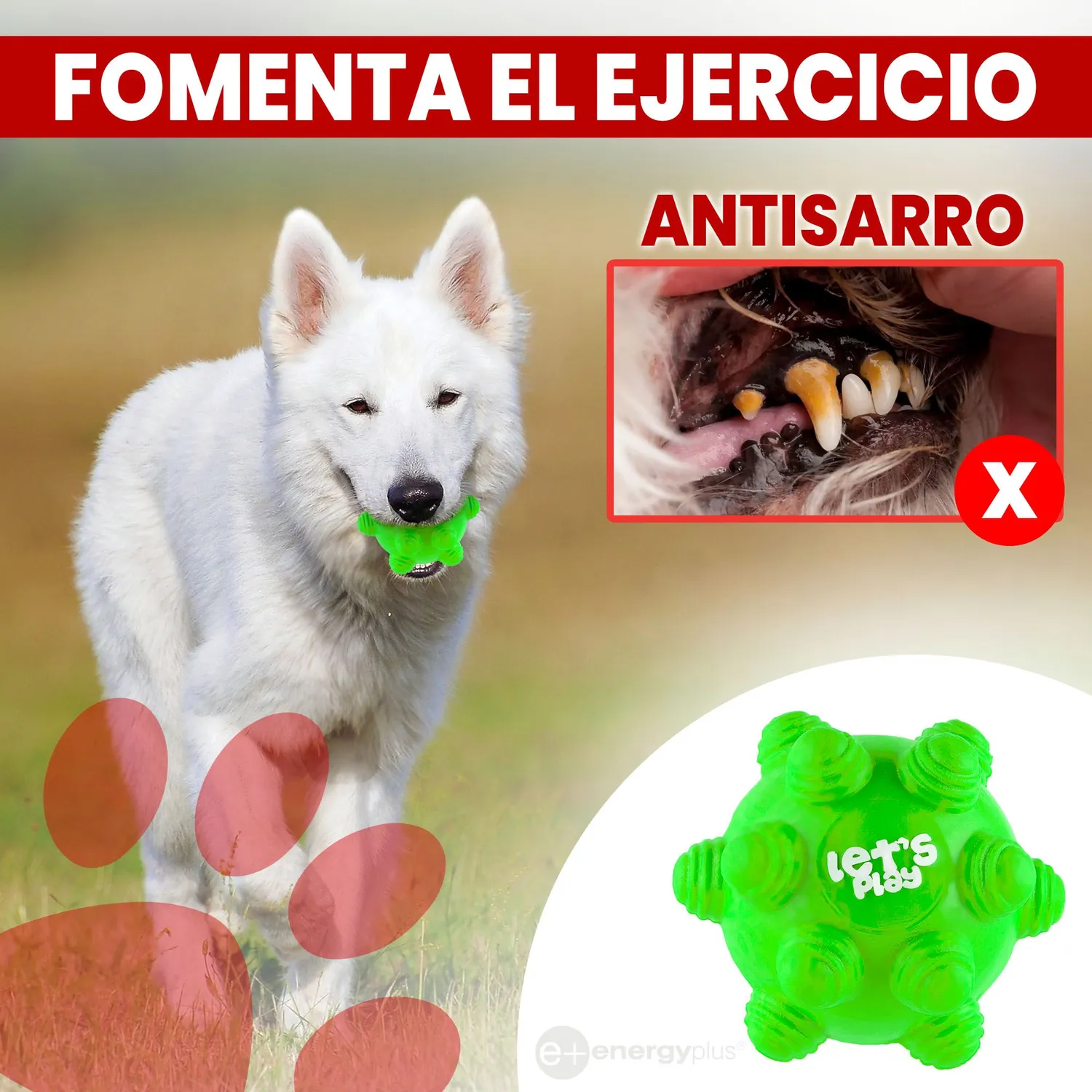 Juguete Para Perro Pelota Maciza Con Taches Verde