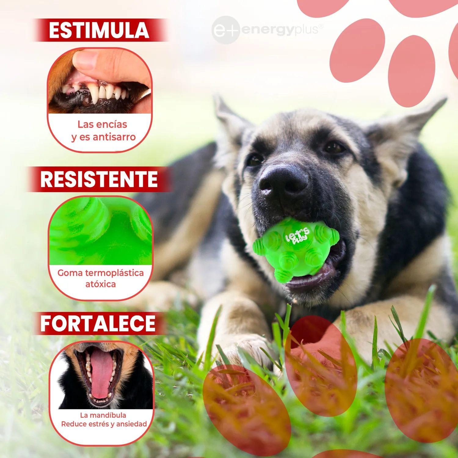 Juguete Para Perro Pelota Maciza Con Taches Verde 3