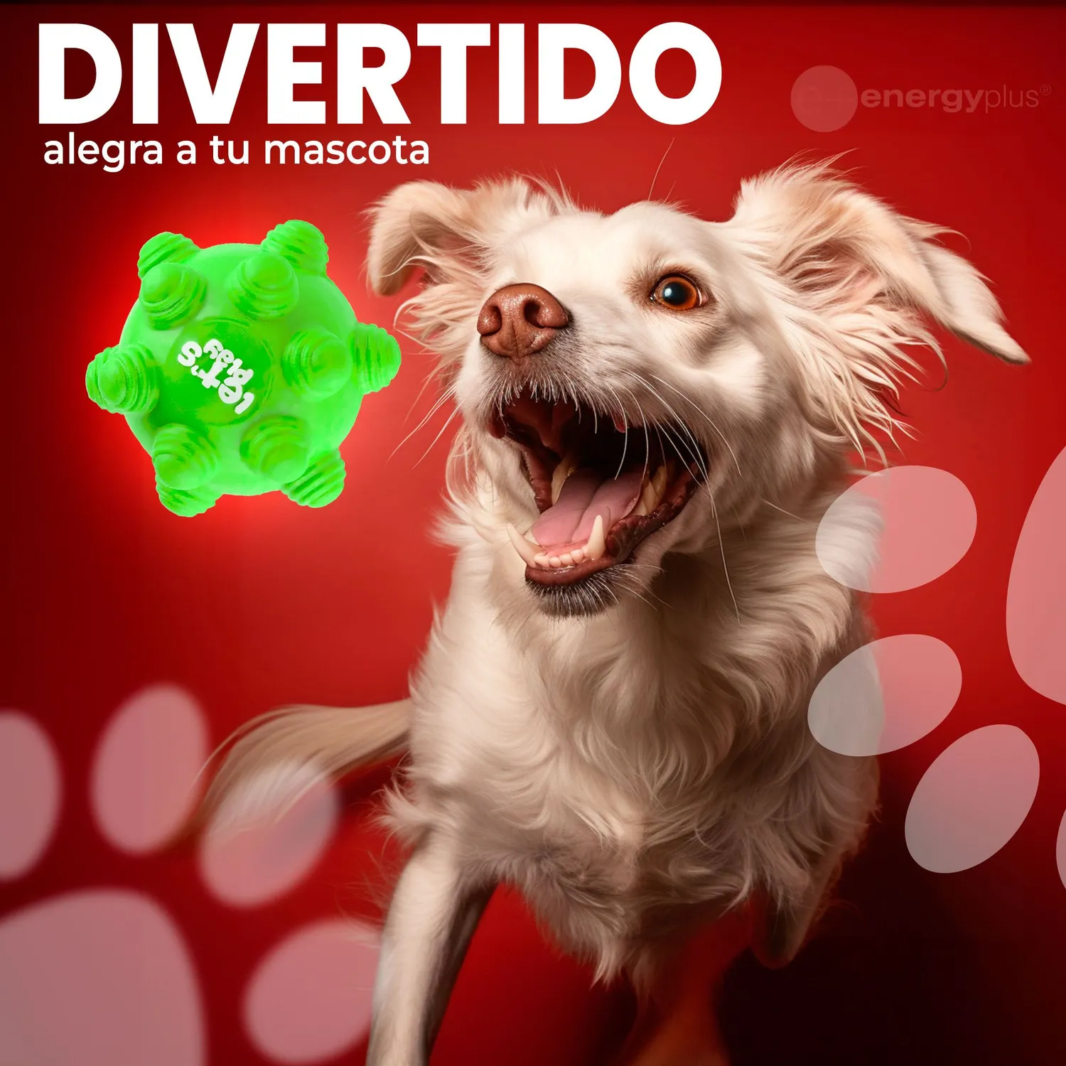 Juguete Para Perro Pelota Maciza Con Taches Verde 4