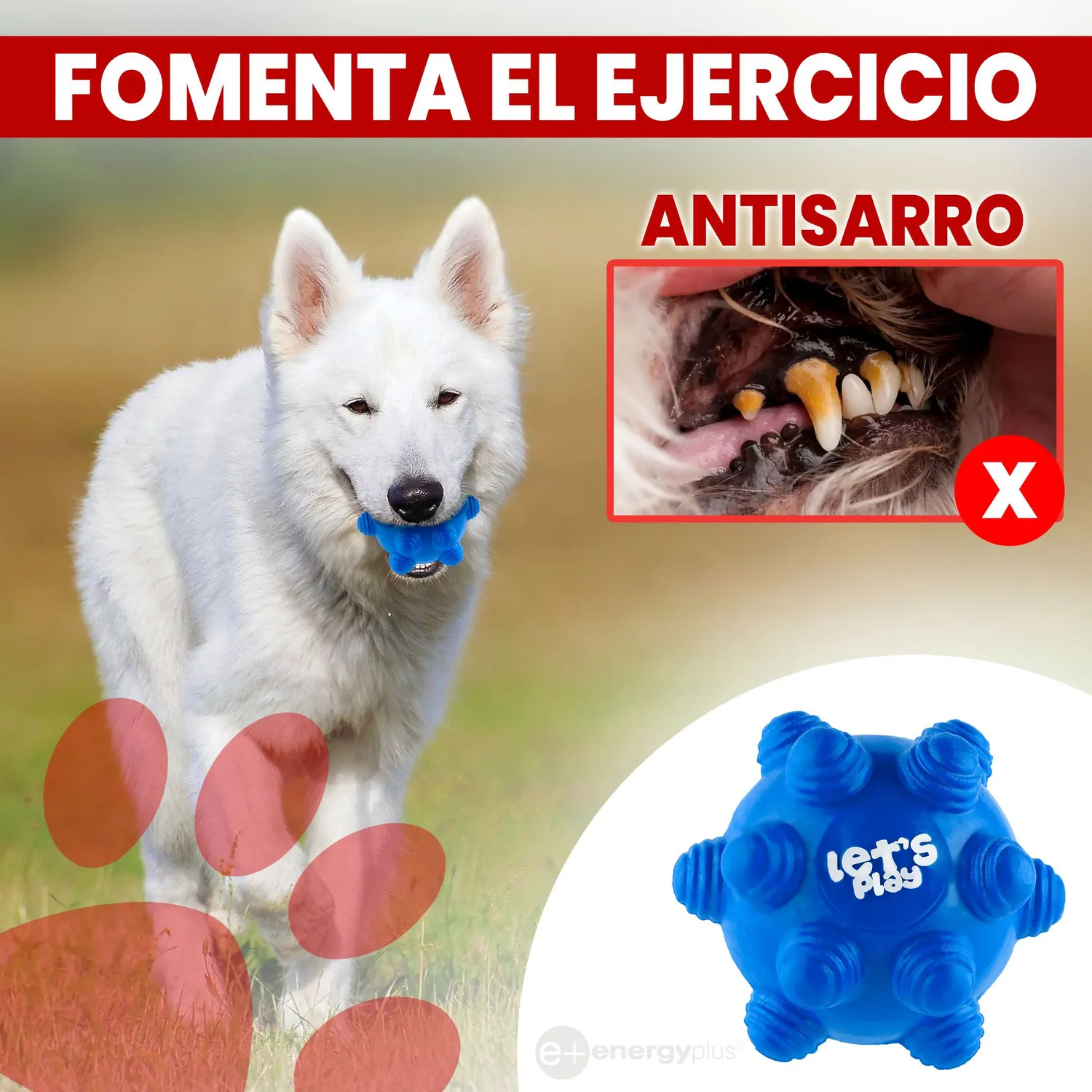 Juguete Para Perro Pelota Maciza Con Taches Azul