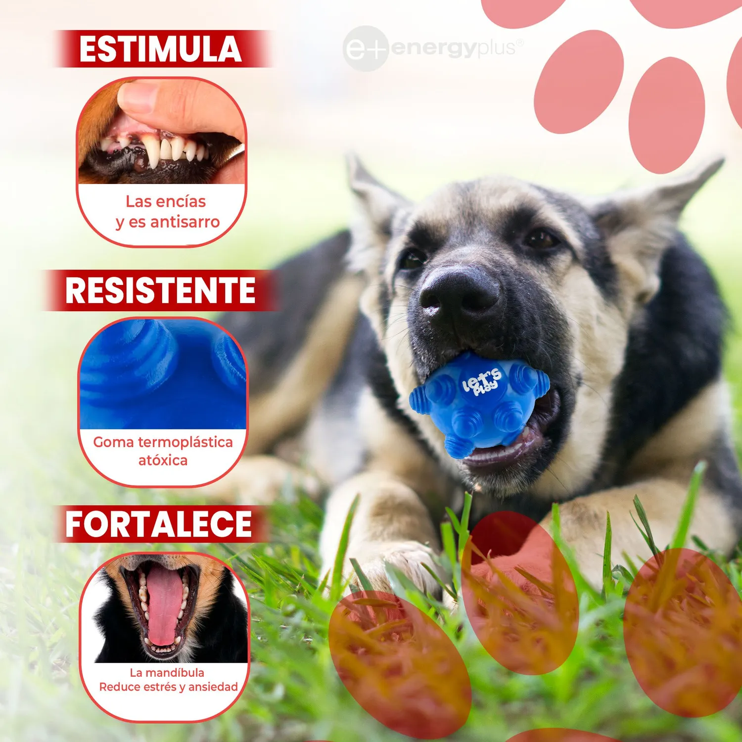 Juguete Para Perro Pelota Maciza Con Taches Azul 3