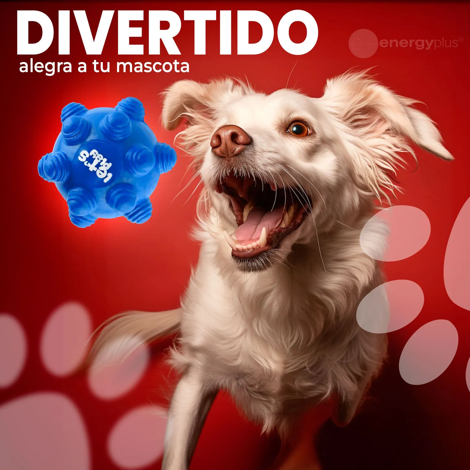 Juguete Para Perro Pelota Maciza Con Taches Azul 4