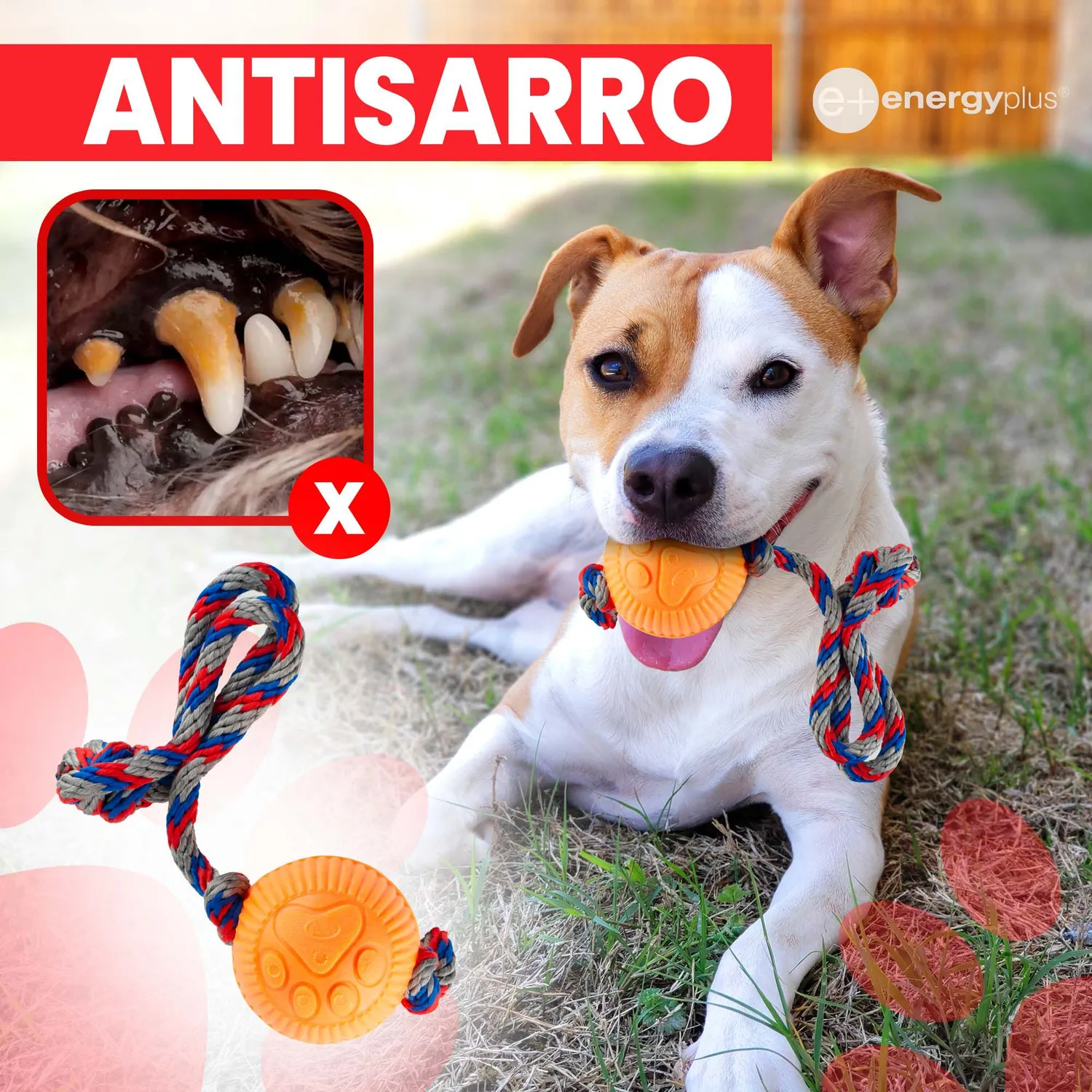 Juguete Para Perro Pelota y Cuerda Med Naranja