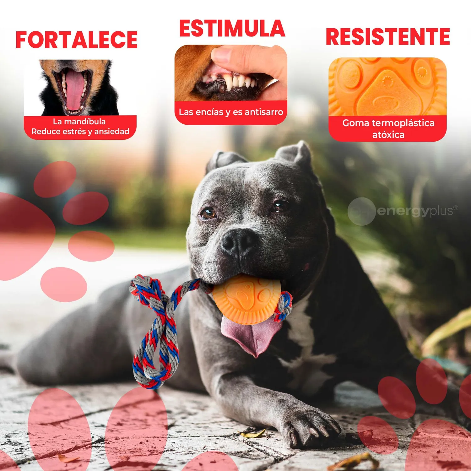 Juguete Para Perro Pelota y Cuerda Med Naranja 3