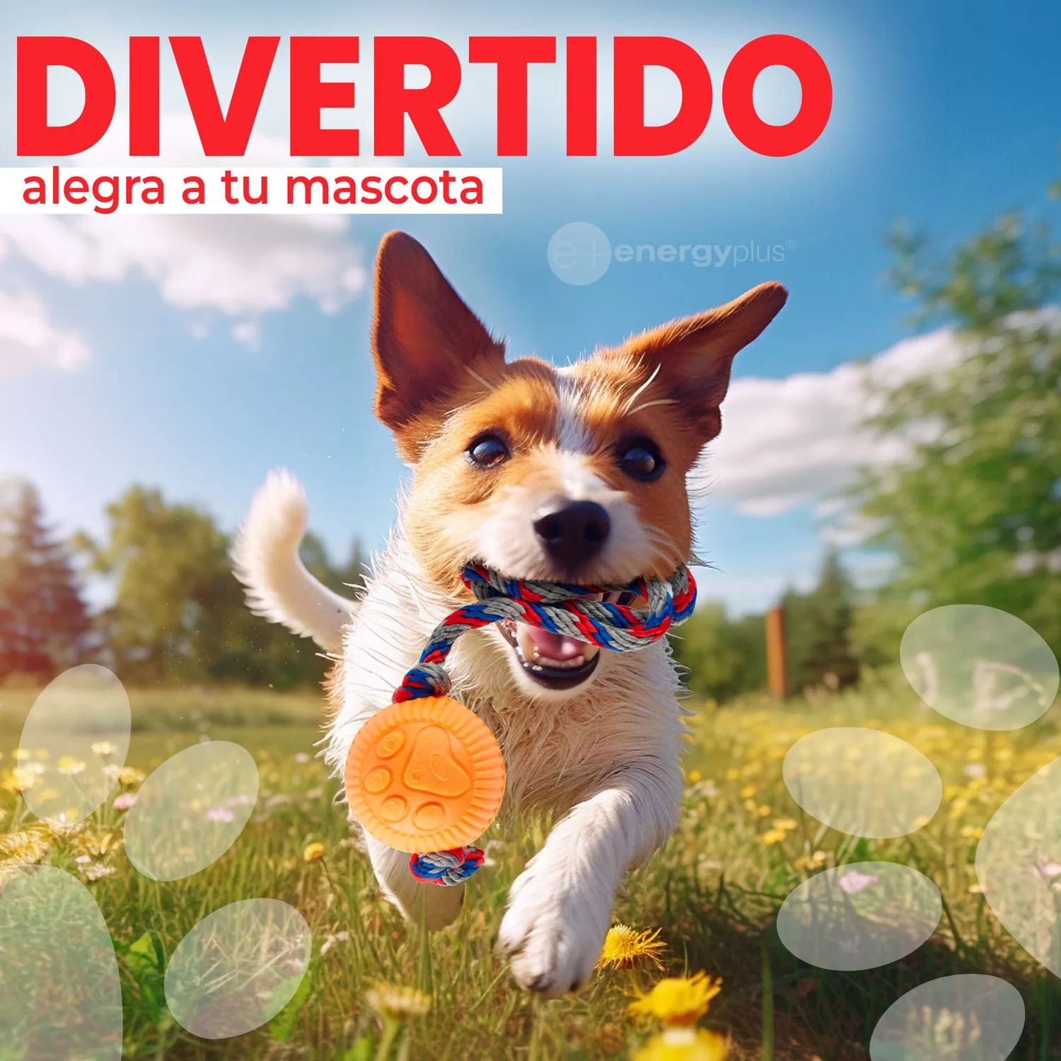 Juguete Para Perro Pelota y Cuerda Med Naranja 4