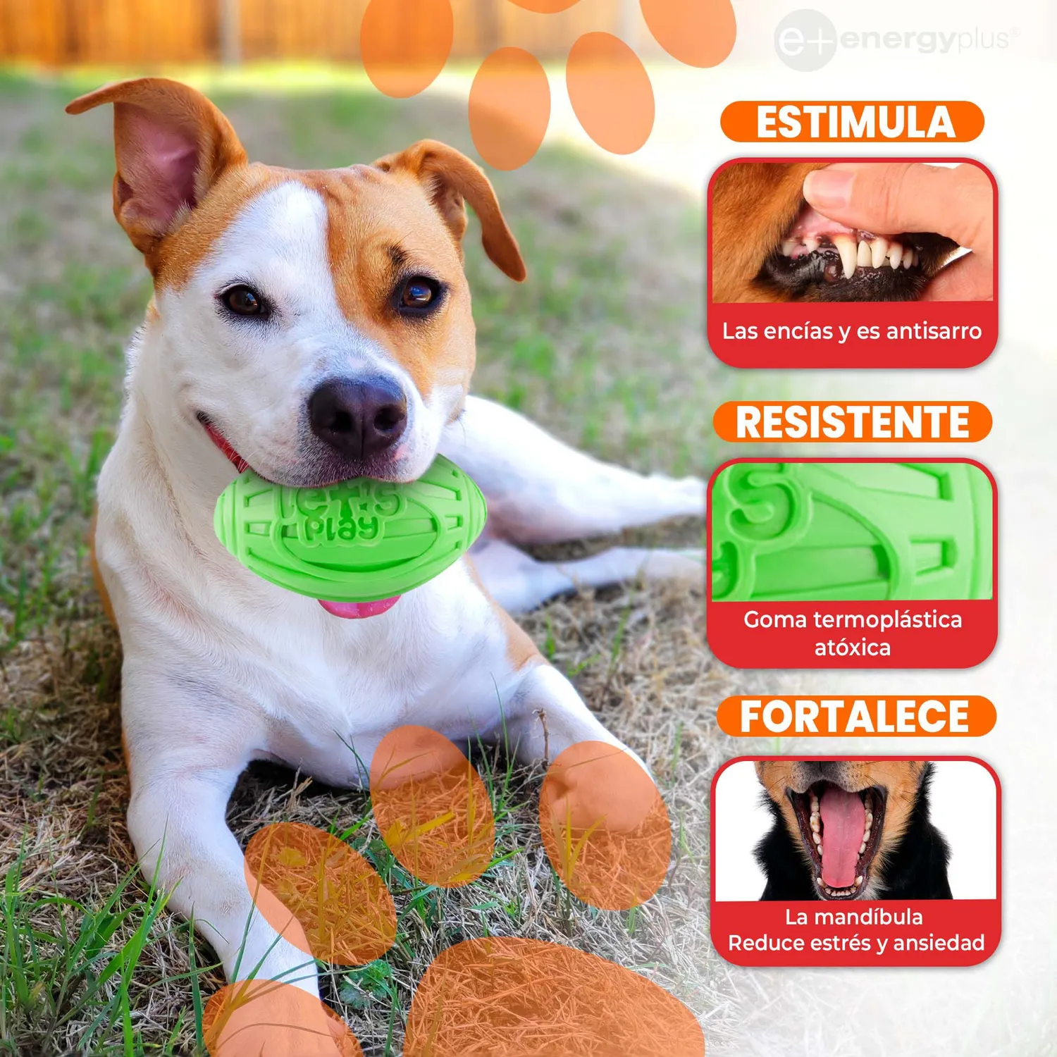 Juguete Para Perro: Balón Ovalado y Chillón Verde 3