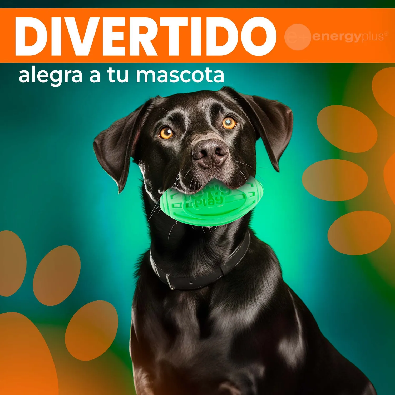 Juguete Para Perro: Balón Ovalado y Chillón Verde 4