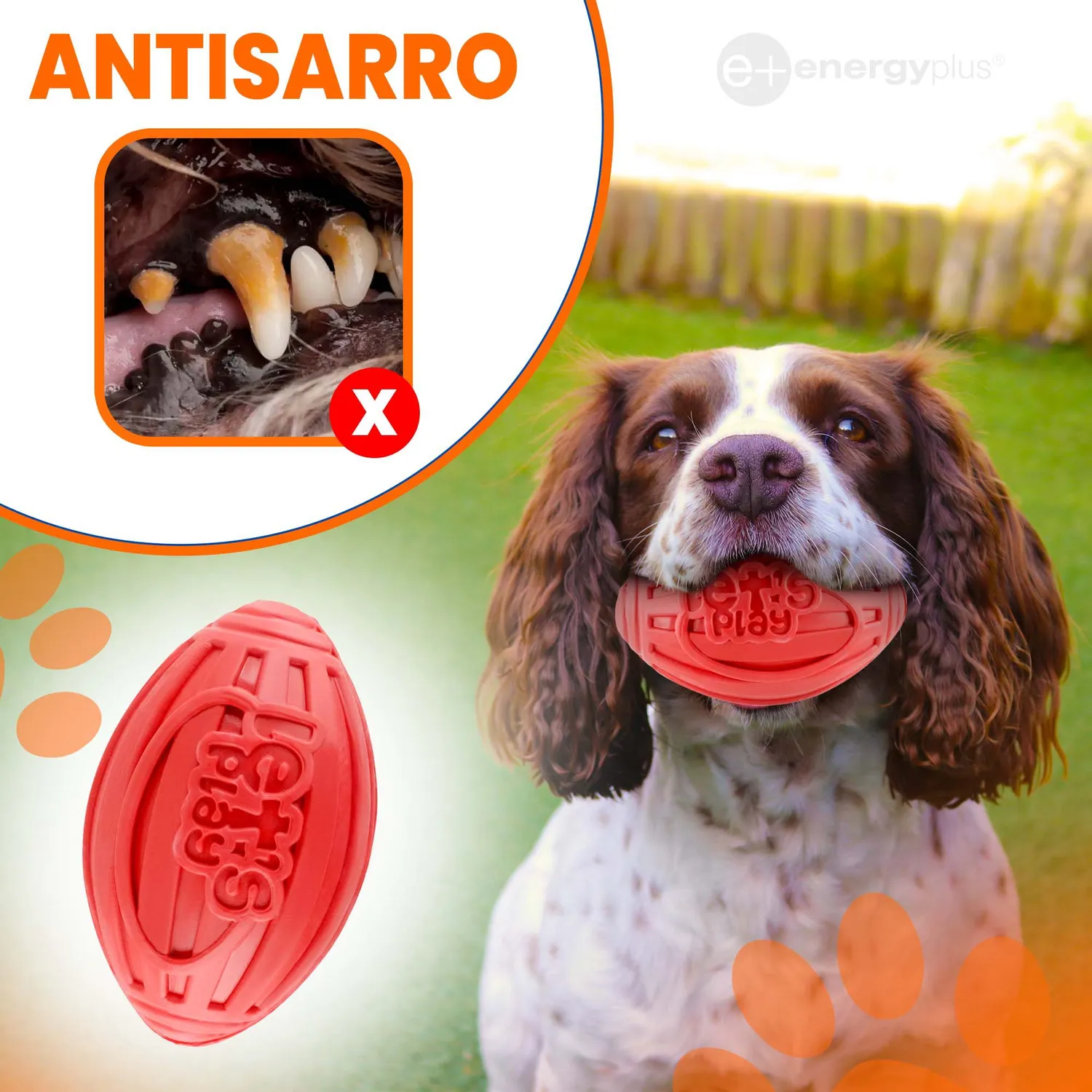 Juguete Para Perro: Balón Ovalado y Chillón Rojo
