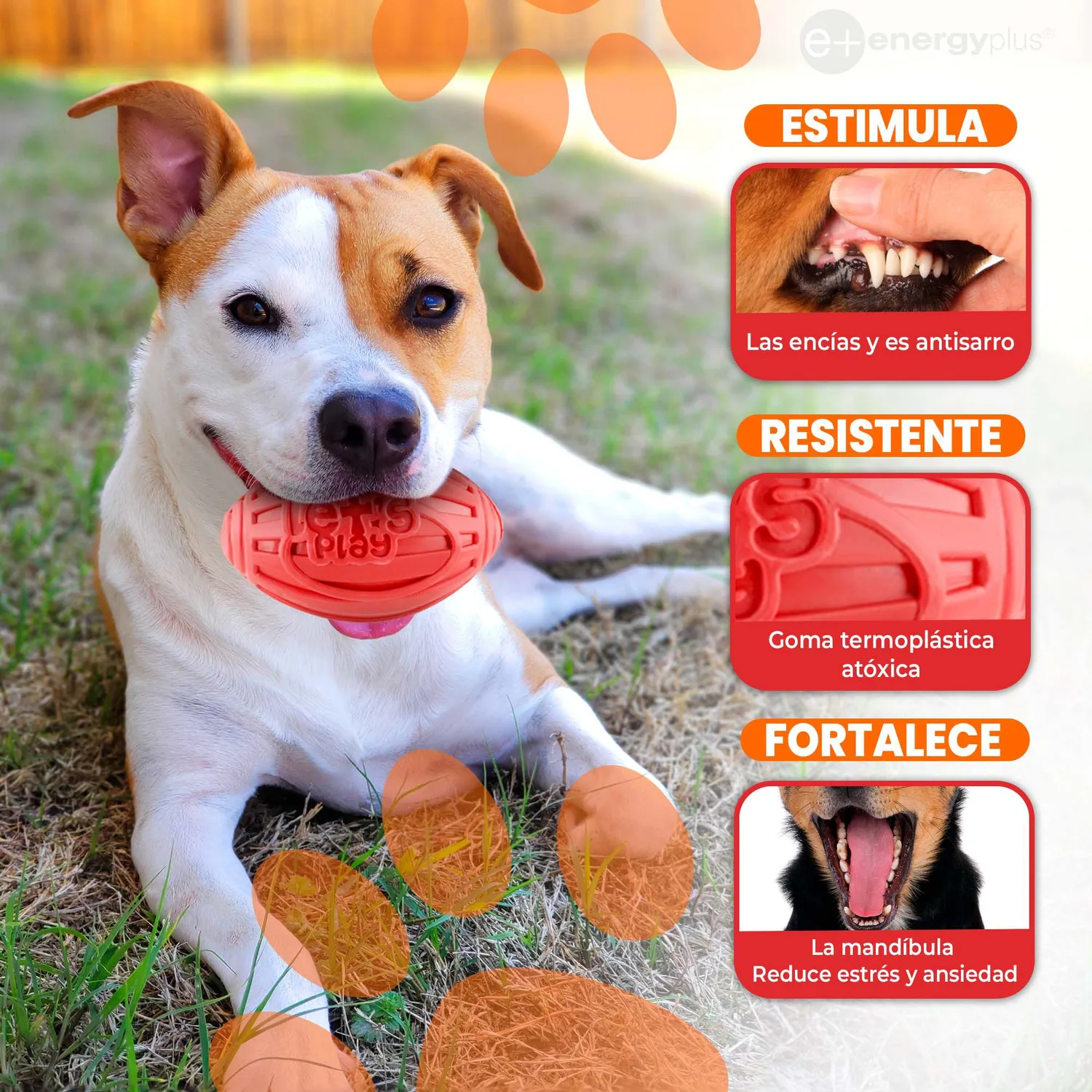 Juguete Para Perro: Balón Ovalado y Chillón Rojo 3