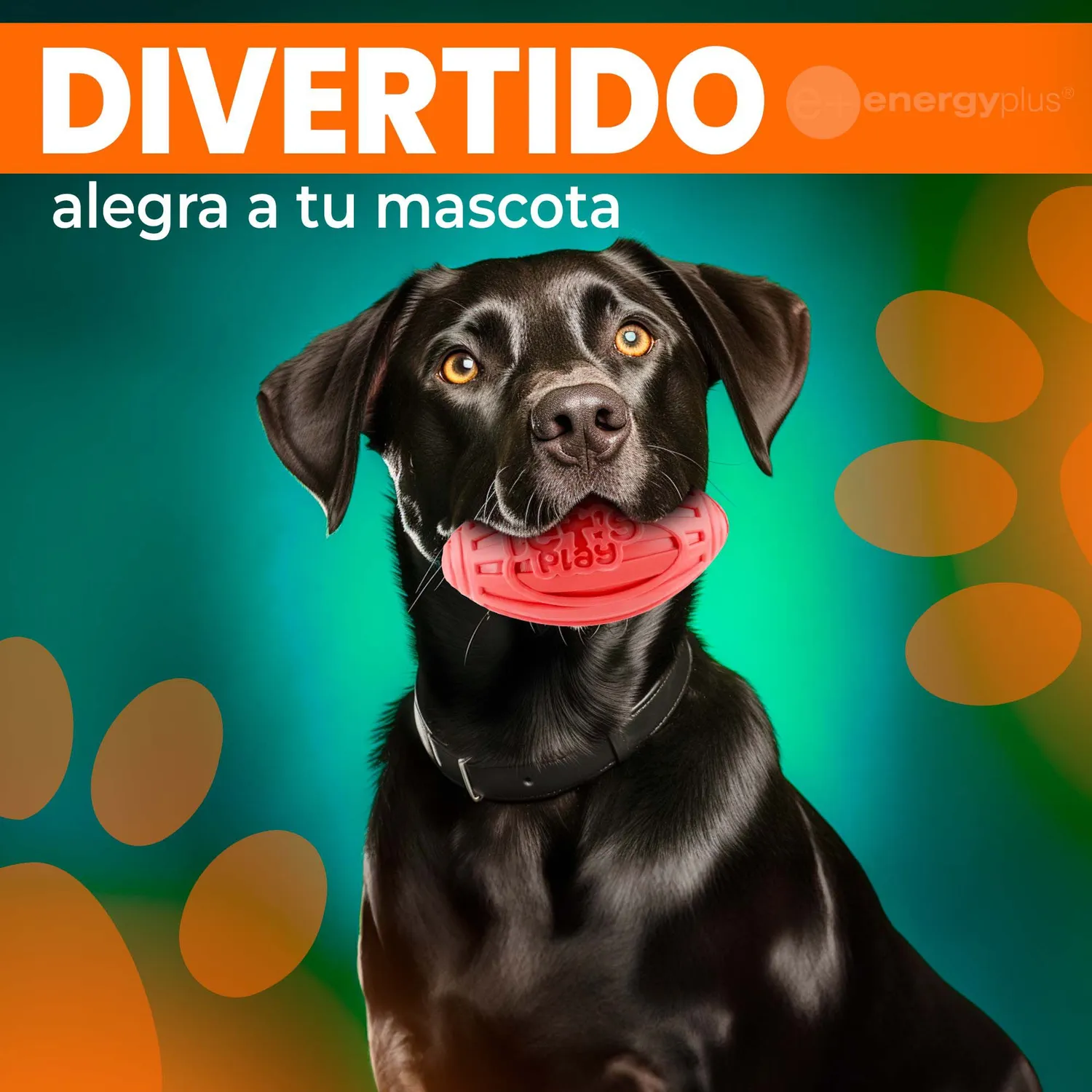 Juguete Para Perro: Balón Ovalado y Chillón Rojo 4