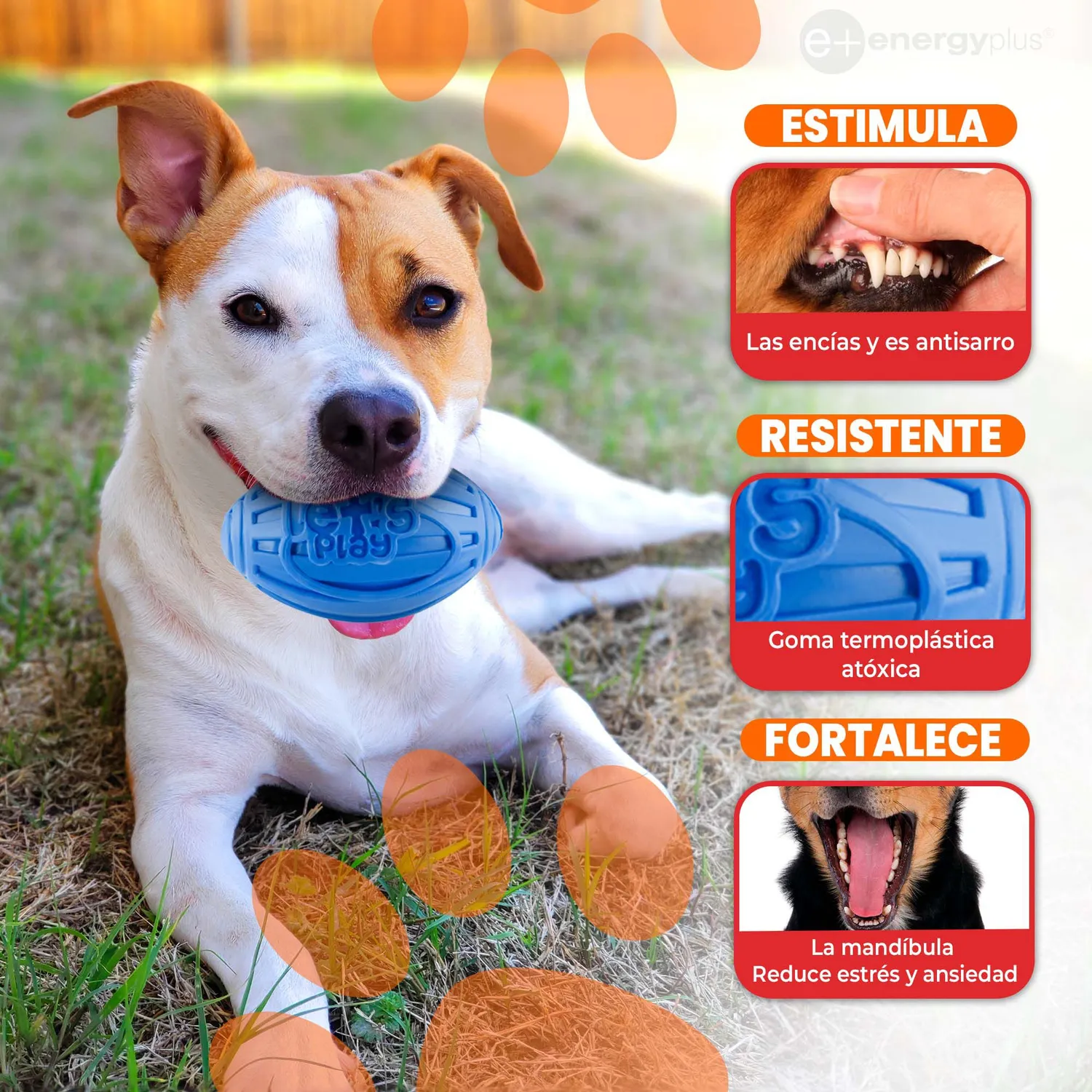 Juguete Para Perro Balón Ovalado Y Chillón Azul 3
