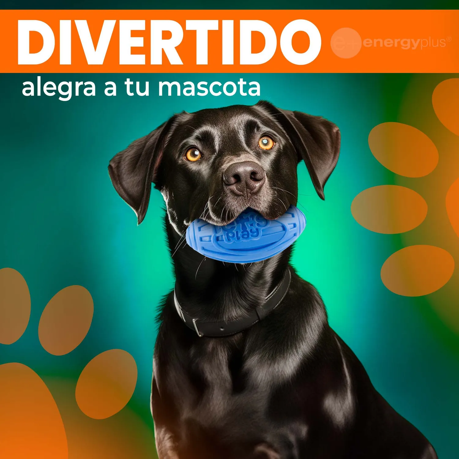 Juguete Para Perro Balón Ovalado Y Chillón Azul 4