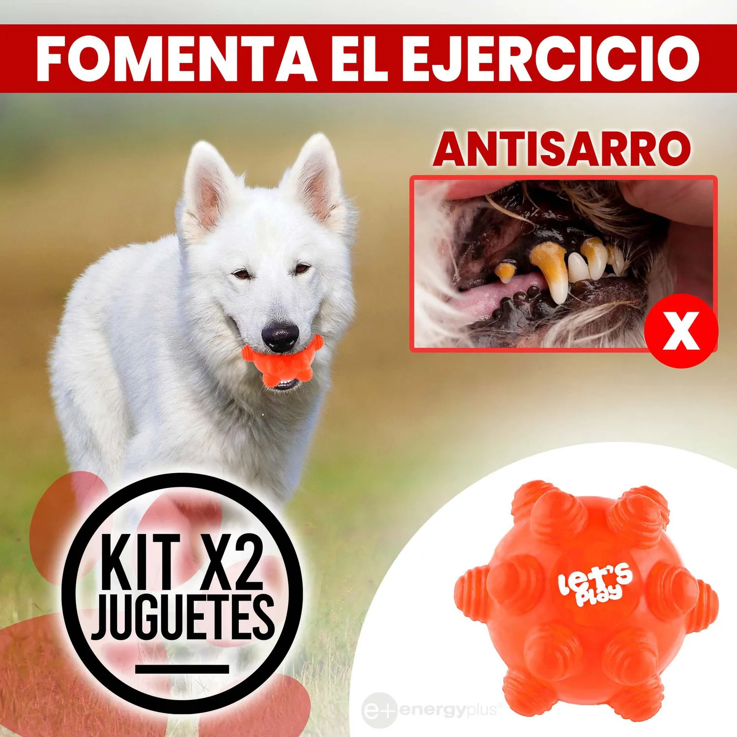 Kit X2 Pelotas Macizas En Goma Rebote Único Perros Naranja Verde