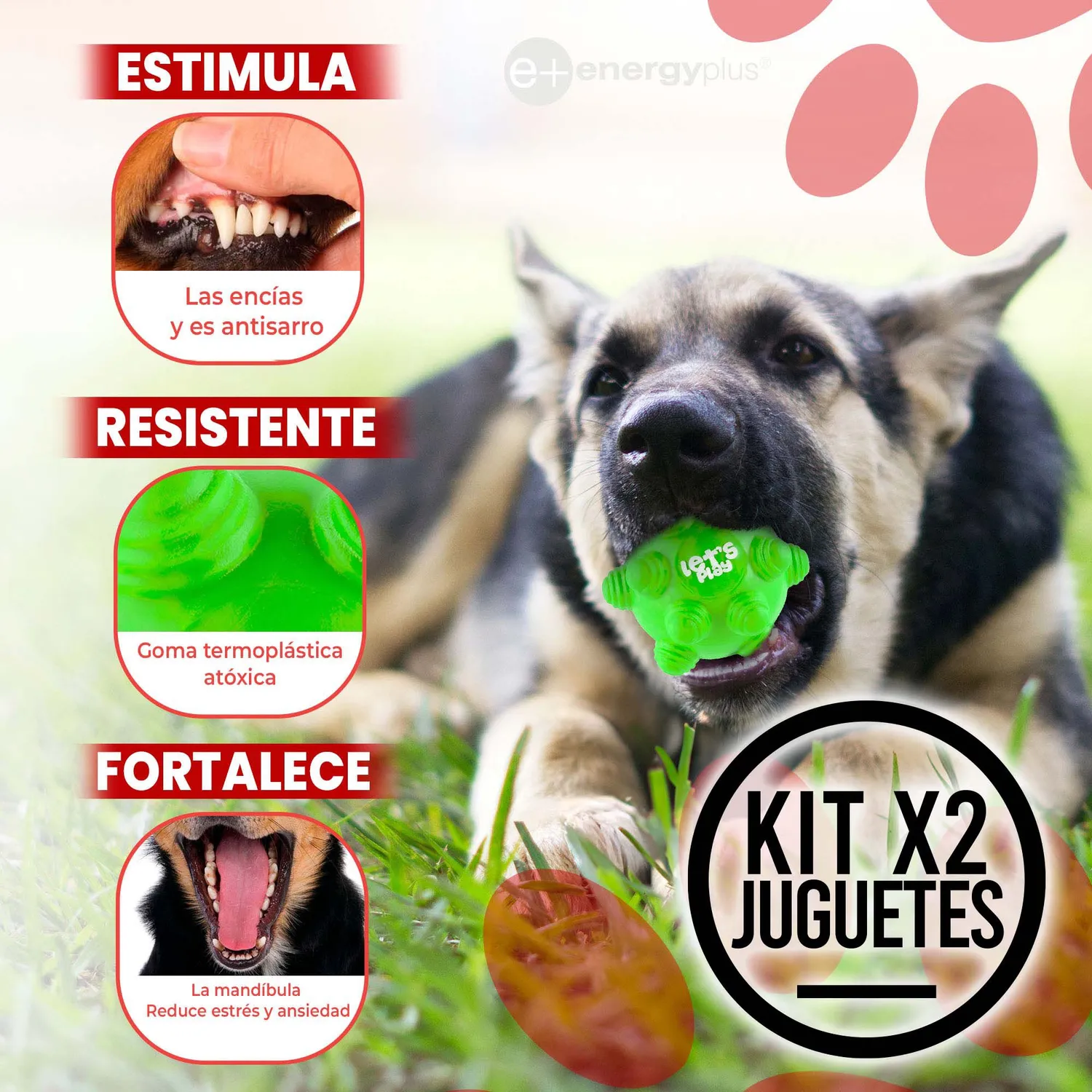 Kit X2 Pelotas Macizas En Goma Rebote Único Perros Naranja Verde 3