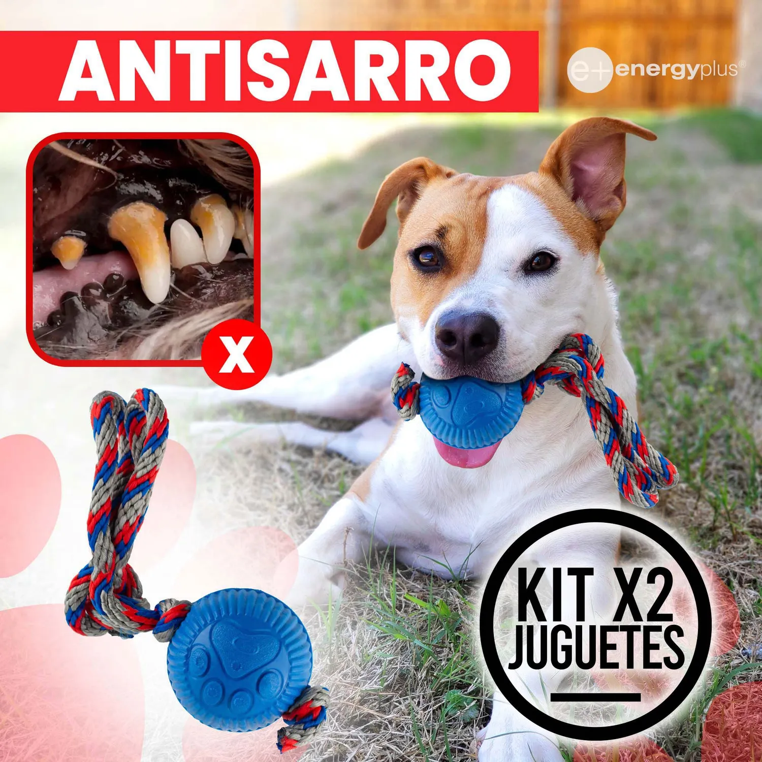 2 Juguetes Para Perro Con Pelota y Cuerda Medianos Azul Rojo